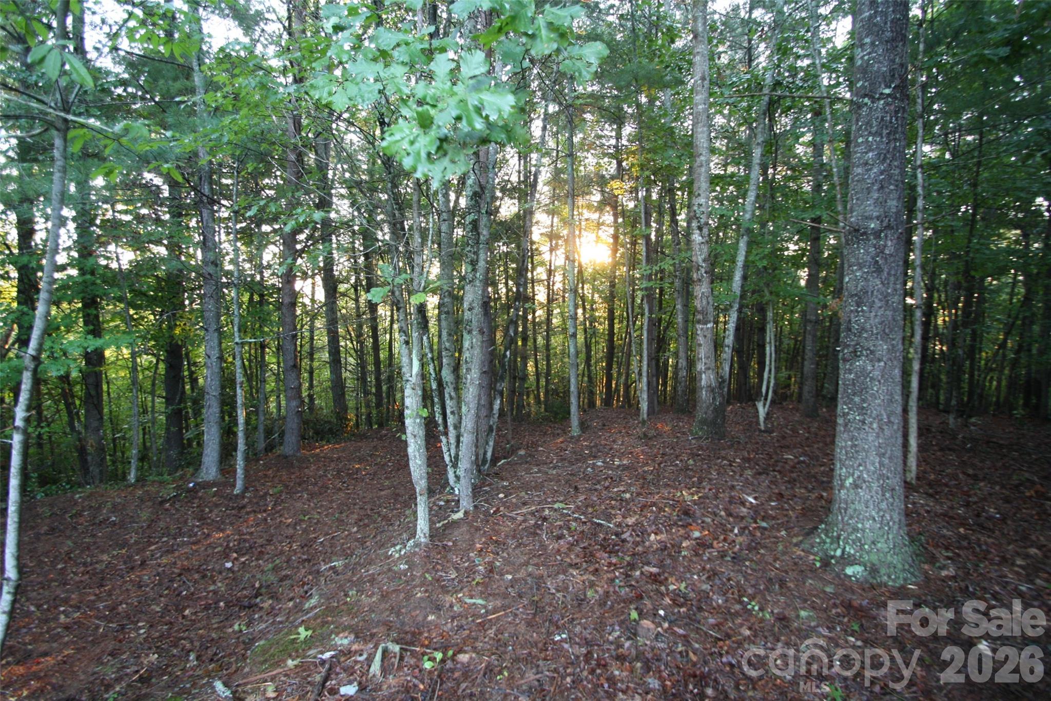 The Coves Mountain River Club - Land