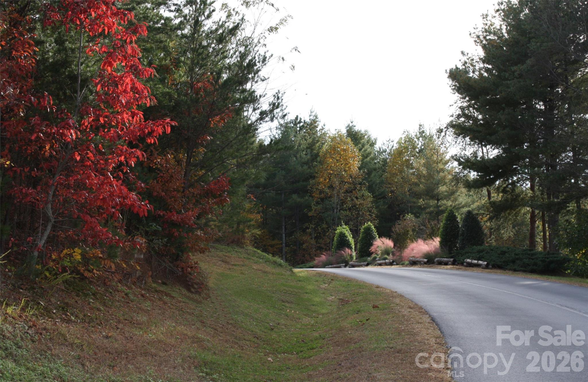 The Coves Mountain River Club - Land