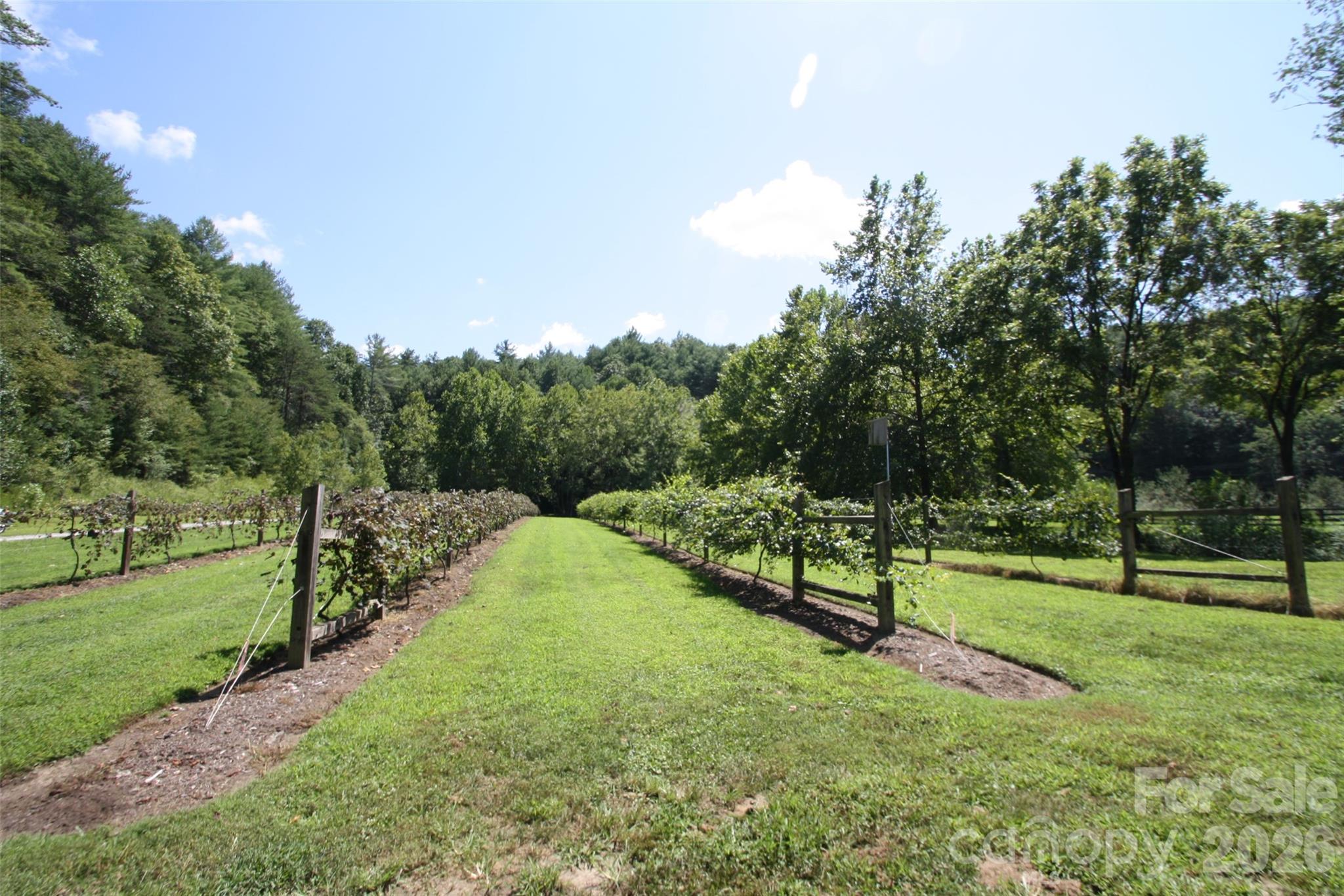 The Coves Mountain River Club - Land
