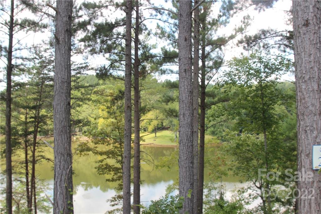 Island Pointe at Lake Vistas - Land