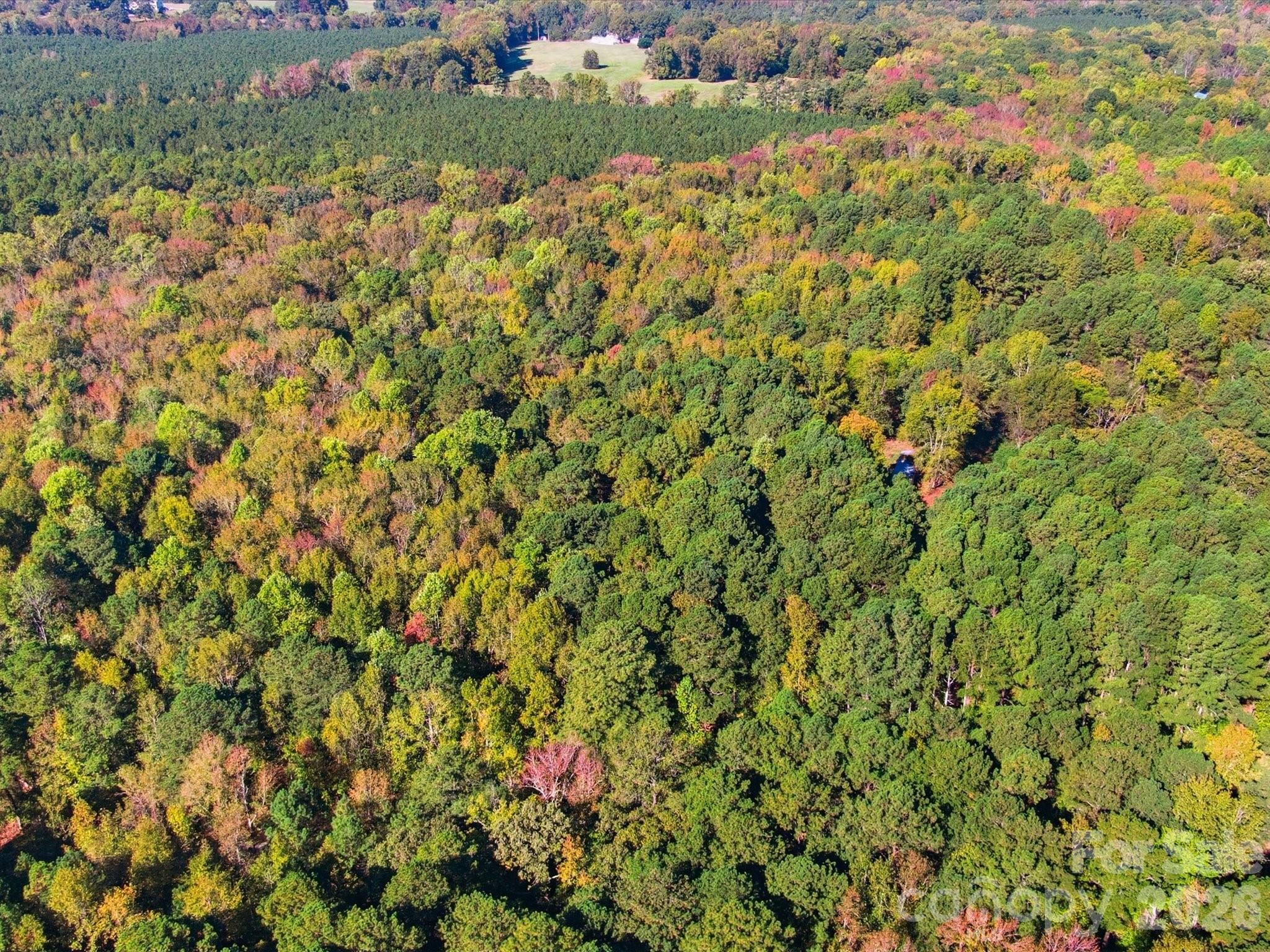 Discover the perfect opportunity to build in one of Waxhaw’s most desirable areas. This beautifully wooded 2.4-acre lot offers mature trees, gentle topography, and the potential to subdivide for two homes. Enjoy the peaceful natural setting while being just minutes from historic downtown Waxhaw, known for its charming shops, dining, and community amenities. With paved road access and a scenic backdrop, this property provides a rare combination of privacy and convenience — ideal for creating your custom home or investment project.
Perc test was completed 03/14/2026 and is located in the additional documents