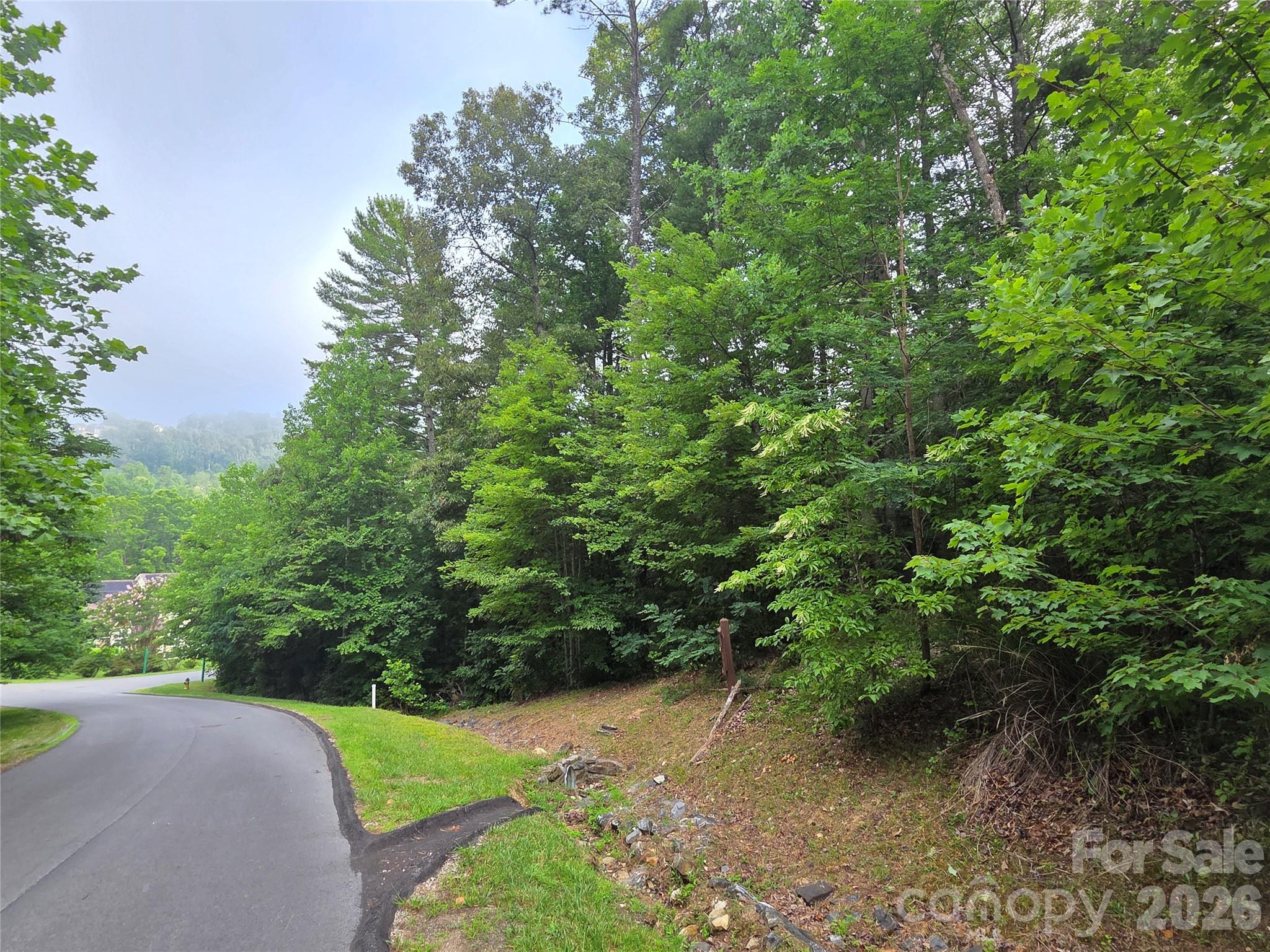 Reems Creek Golf Community - Land
