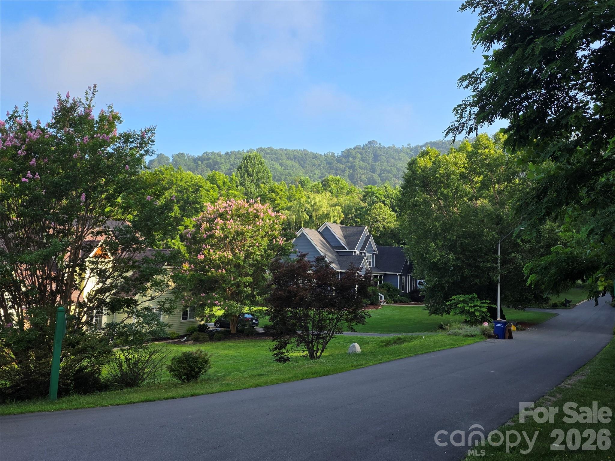 Reems Creek Golf Community - Land
