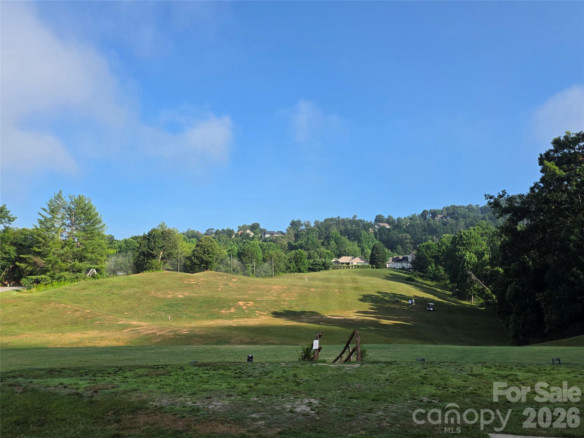 Reems Creek Golf Community - Land