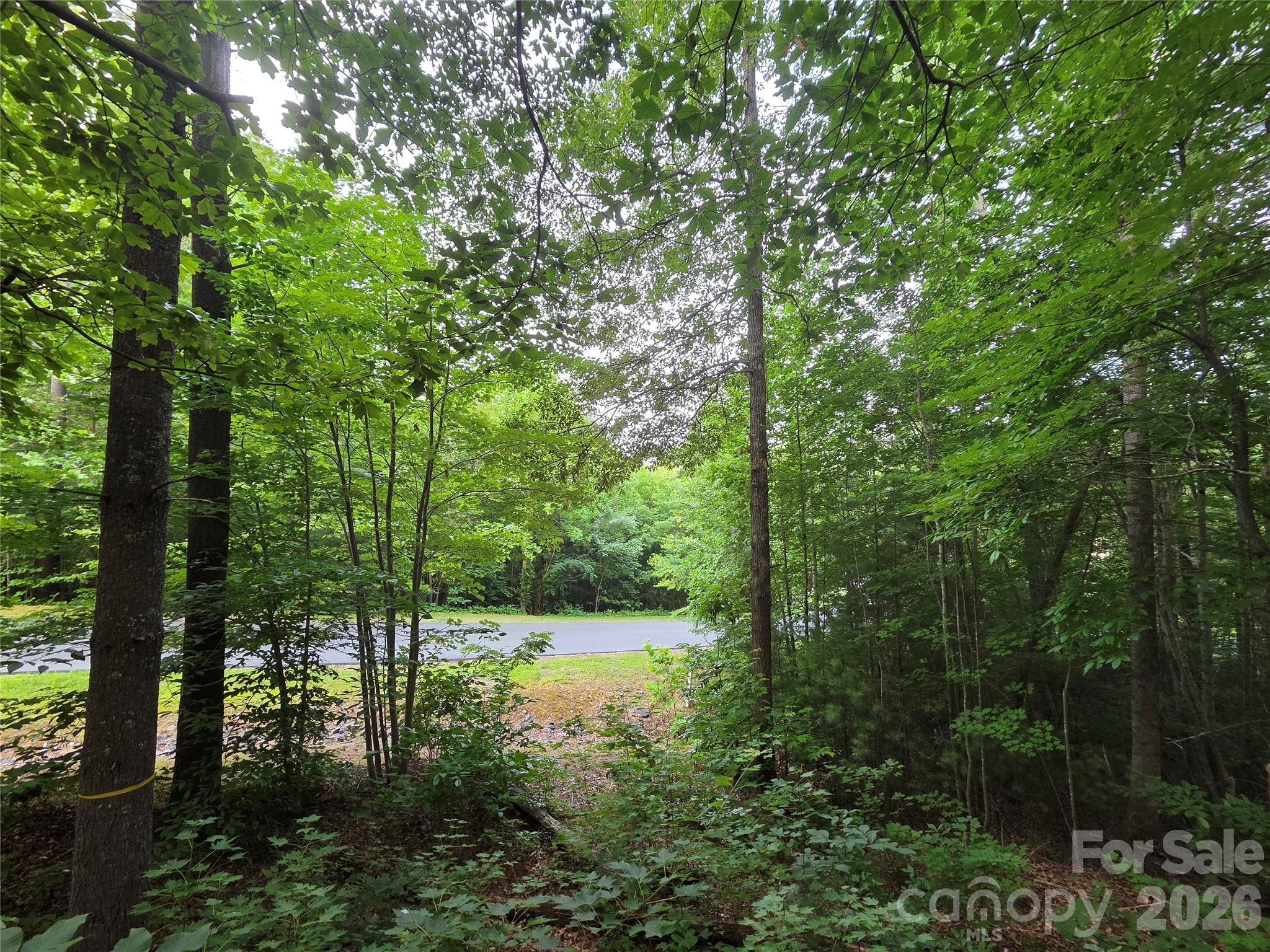 Reems Creek Golf Community - Land