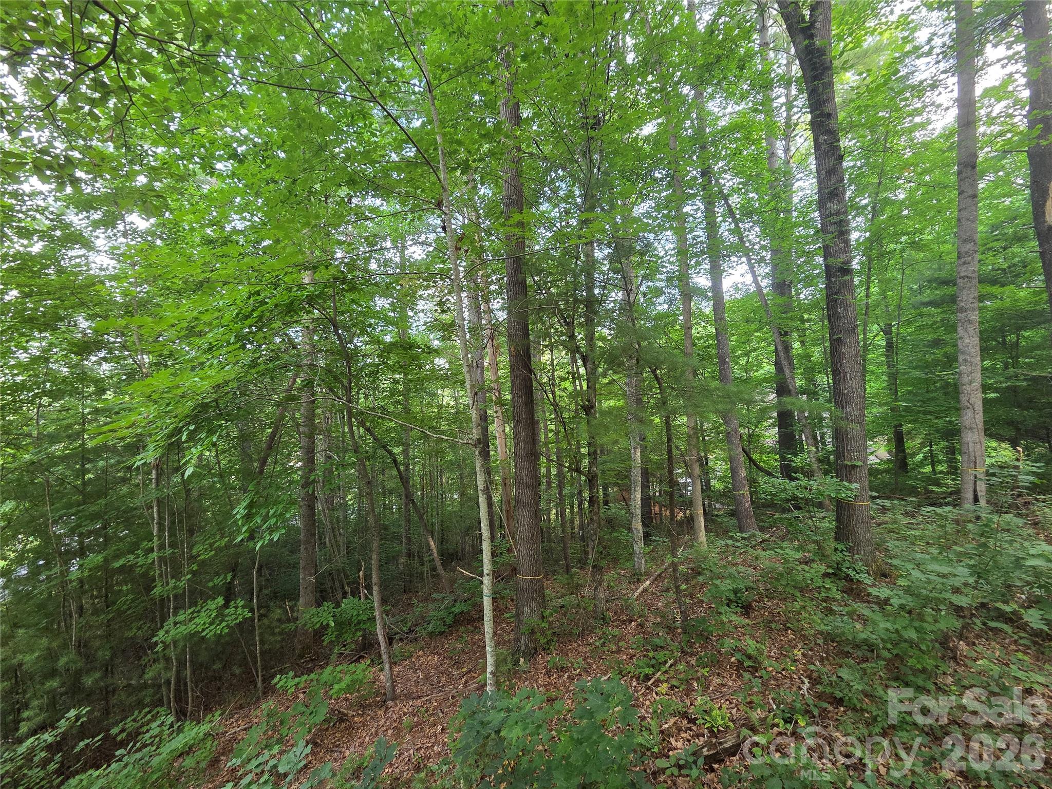 Reems Creek Golf Community - Land