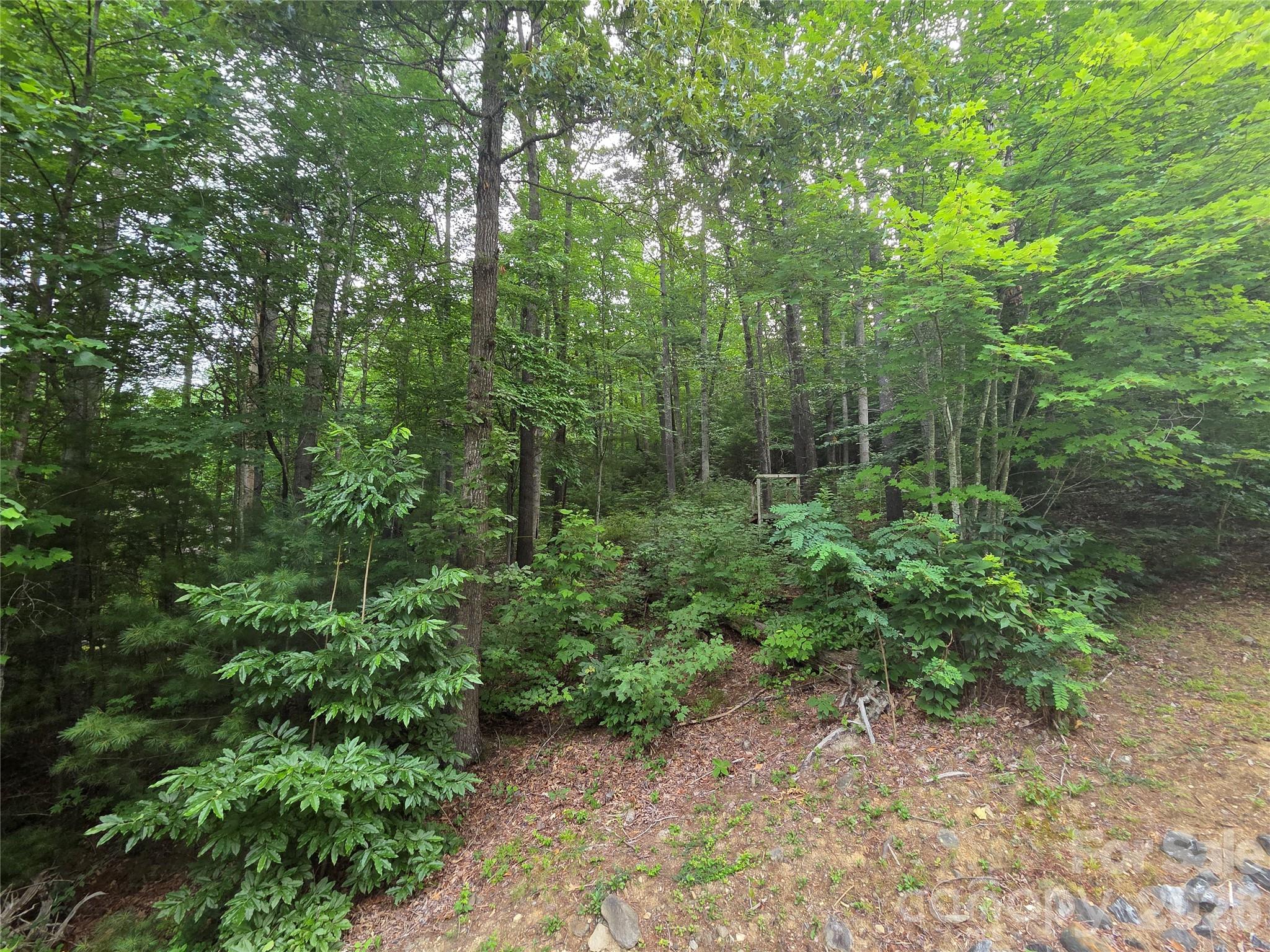 Reems Creek Golf Community - Land