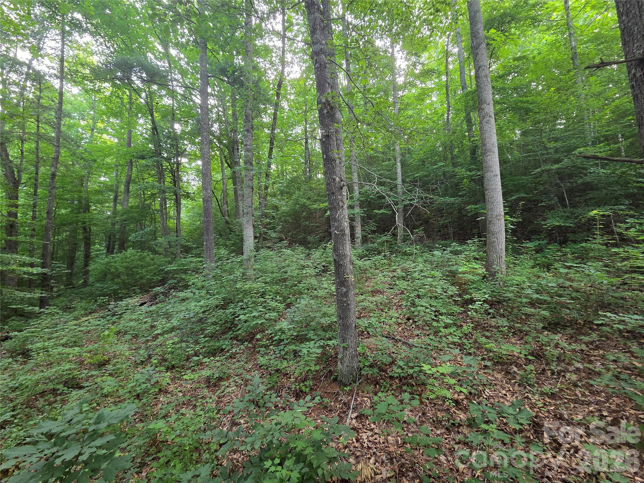 Reems Creek Golf Community - Land