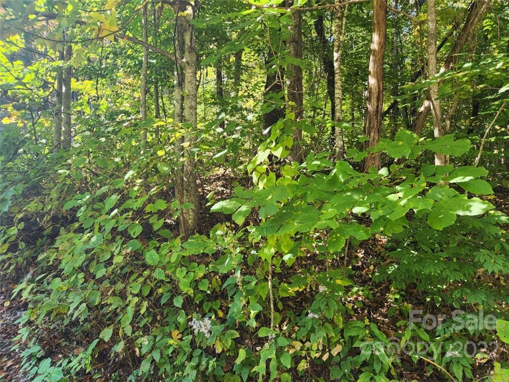 Apple Creek Acres - Land
