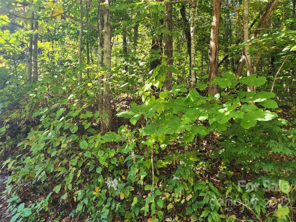 Apple Creek Acres - Land