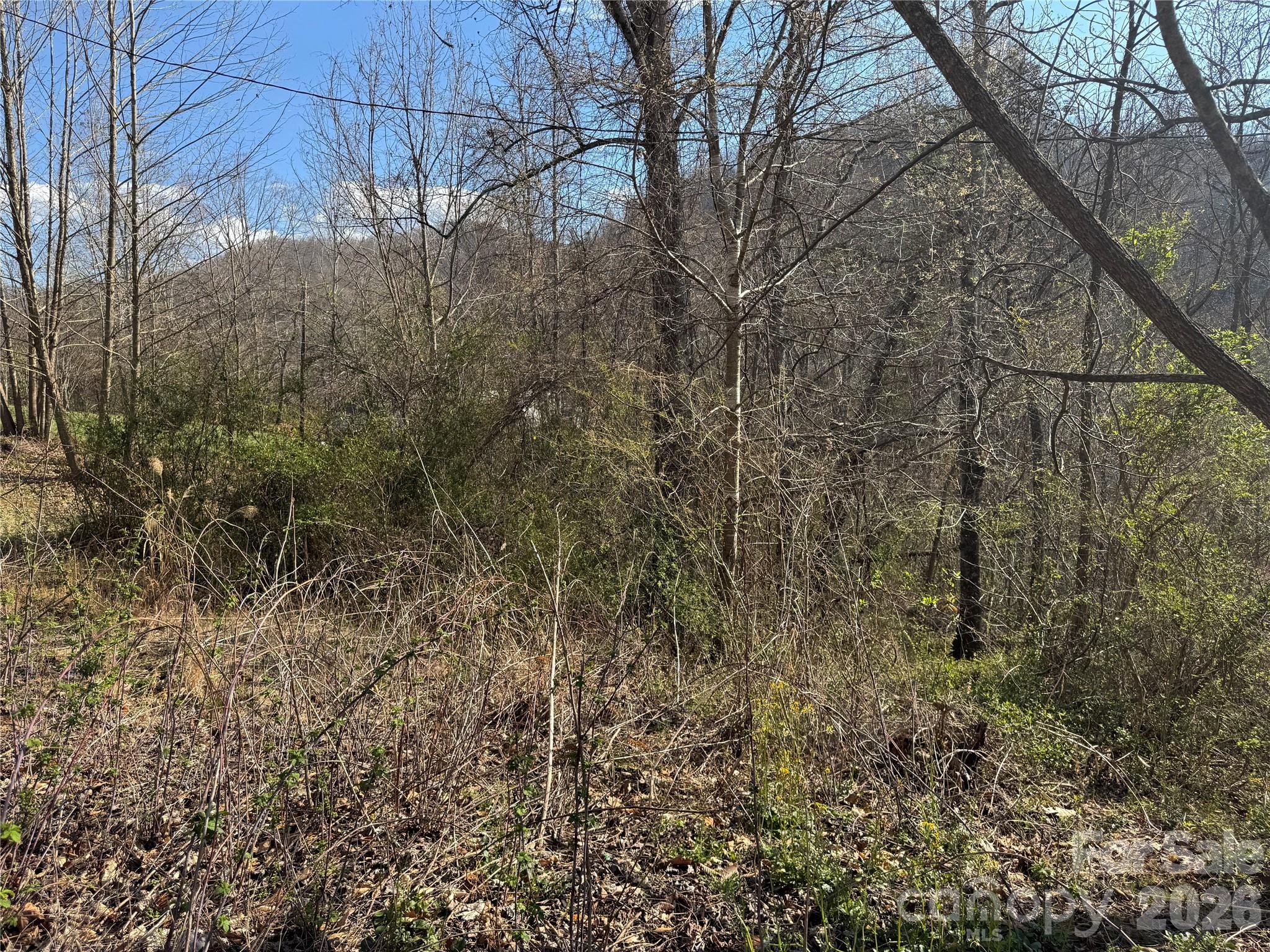 Building lot with beautiful mountain views in the sought after Reems Creek Valley. Lot is sloping up from the driveway off the shared asphalt driveway, up to the level building area. Build your dream home with stunning front porch mountain views. This lot is suitable for a crawl space or full basement. Short drive up to the Blue Ridge Parkway just off Reems Creek Road. No restrictions were found from this family land for generations. Take the opportunity to invest in this beautiful Reems Creek Valley Lot.
