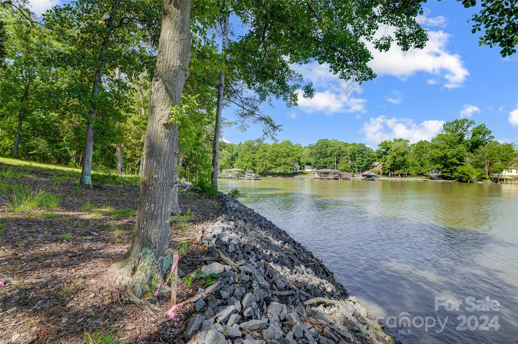 Lake Wylie - Land