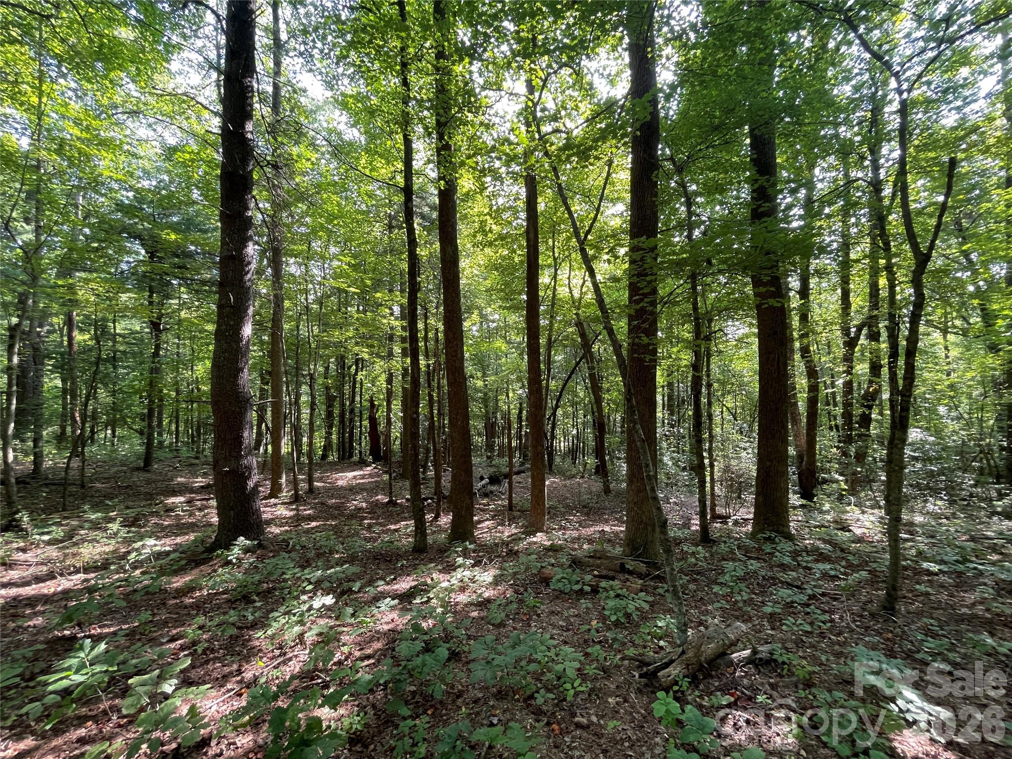 Kenmure - Land