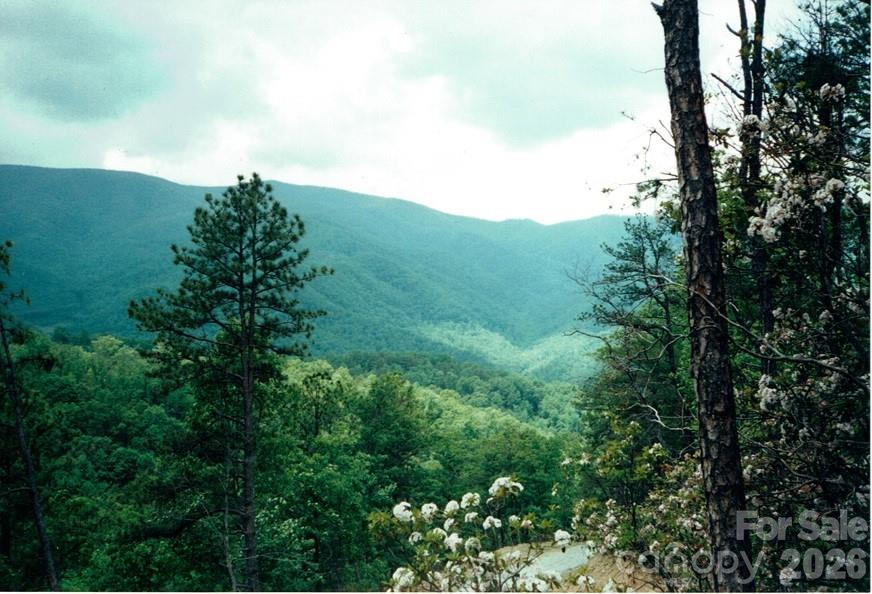Mountain Chalet - Land