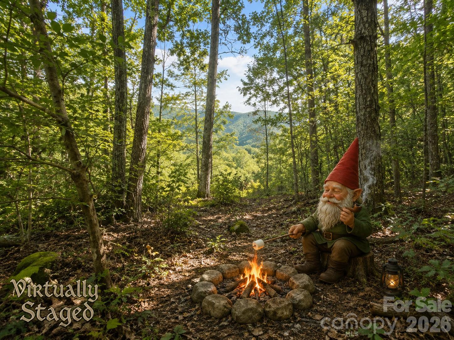 Mountain Chalet - Land