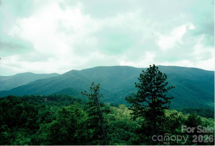 Mountain Chalet - Land
