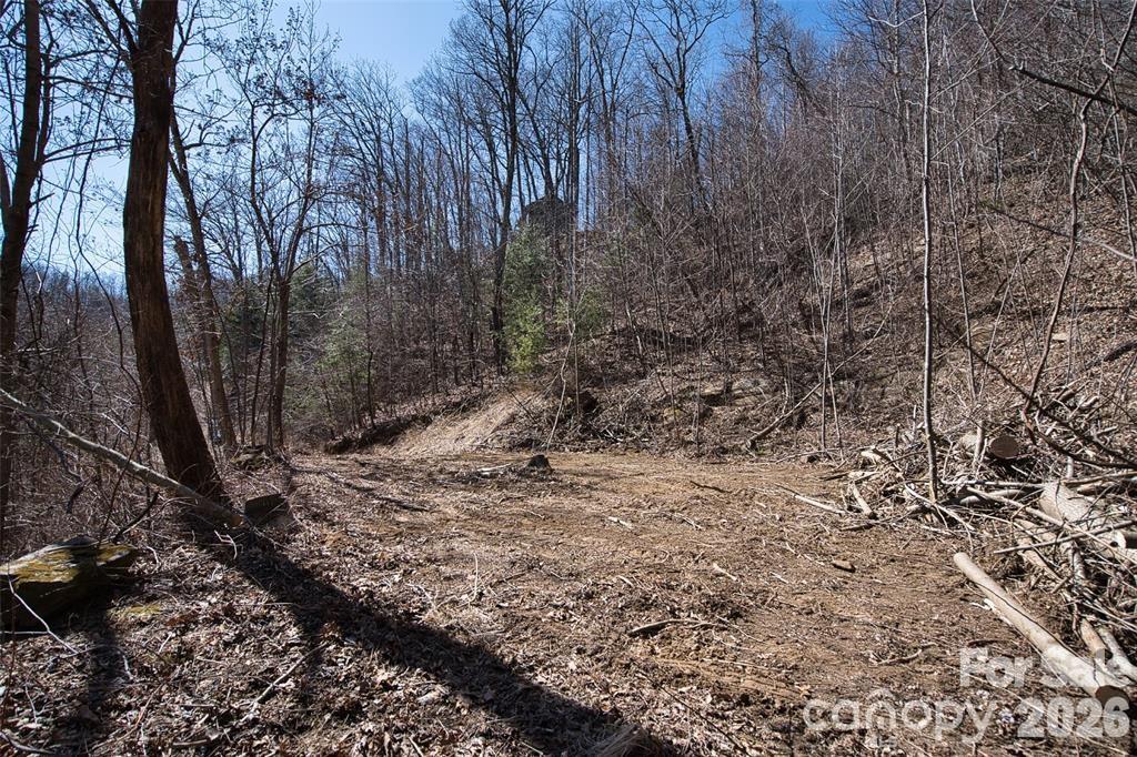 Greenridge Falls - Land