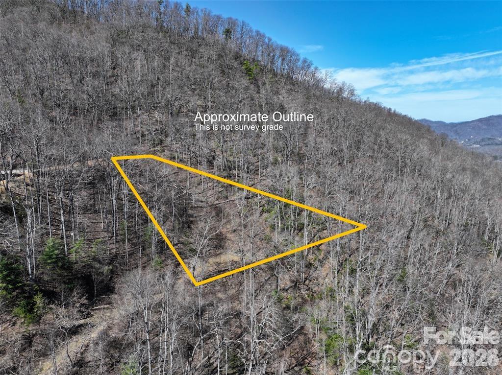Great building site with views in an established neighborhood, less than 20 minutes to downtown Weaverville and under 30 minutes to downtown Asheville. This lot has had some grading work done to create the perfect building site for your new home up in the mountains! Low HOA fees in this community. Come see why the nice folks of Greenridge Falls are so proud of their community. Adjacent lot also available for sale.
