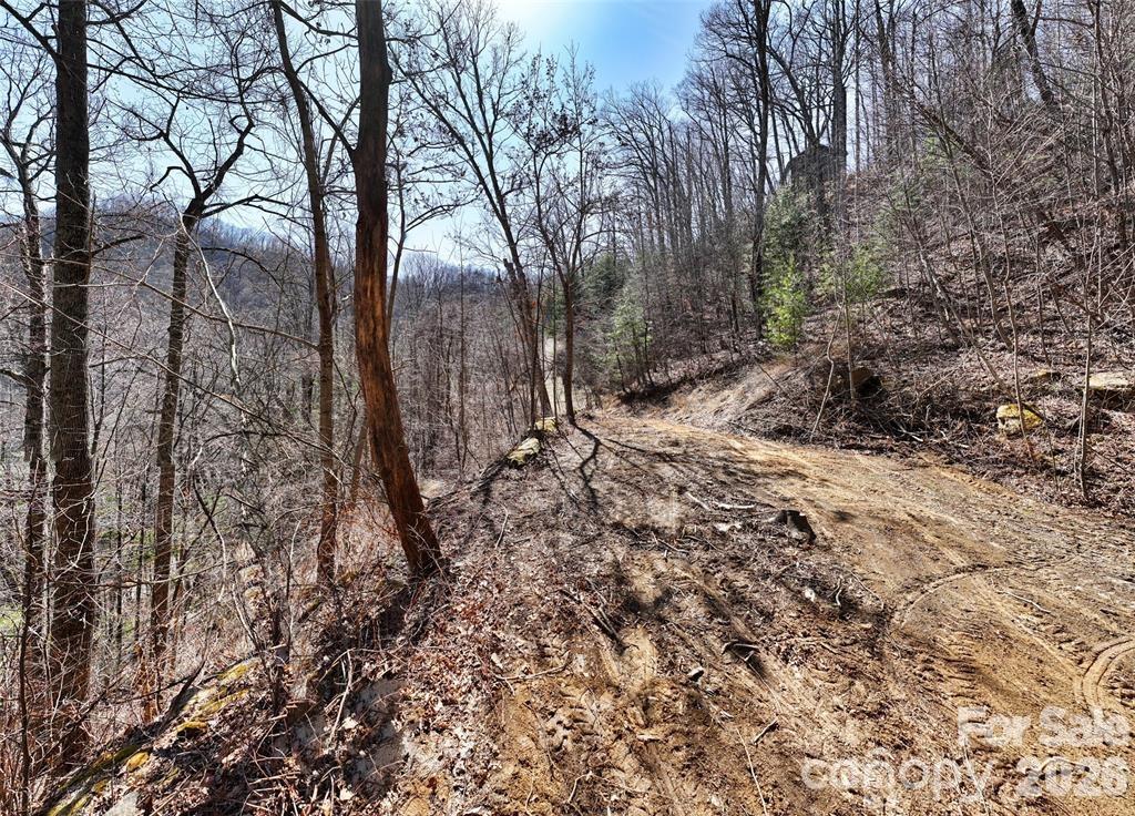 Greenridge Falls - Land
