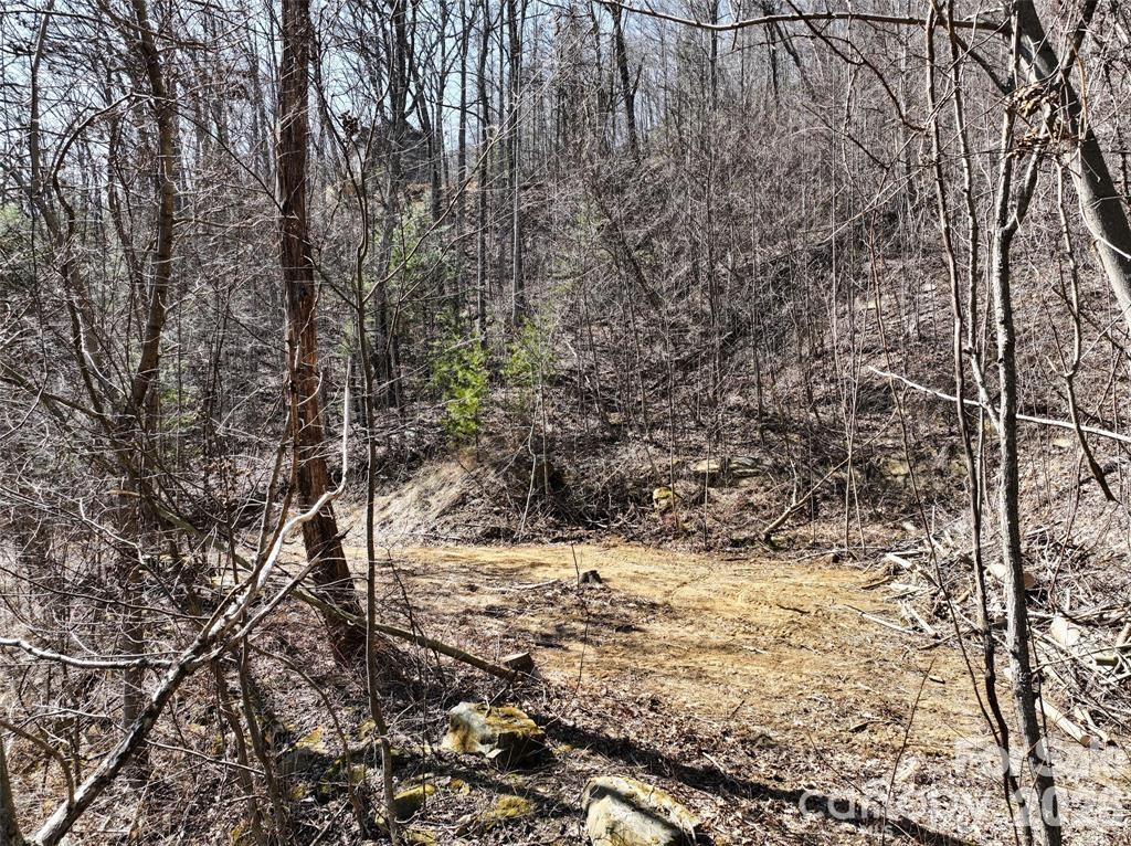Greenridge Falls - Land