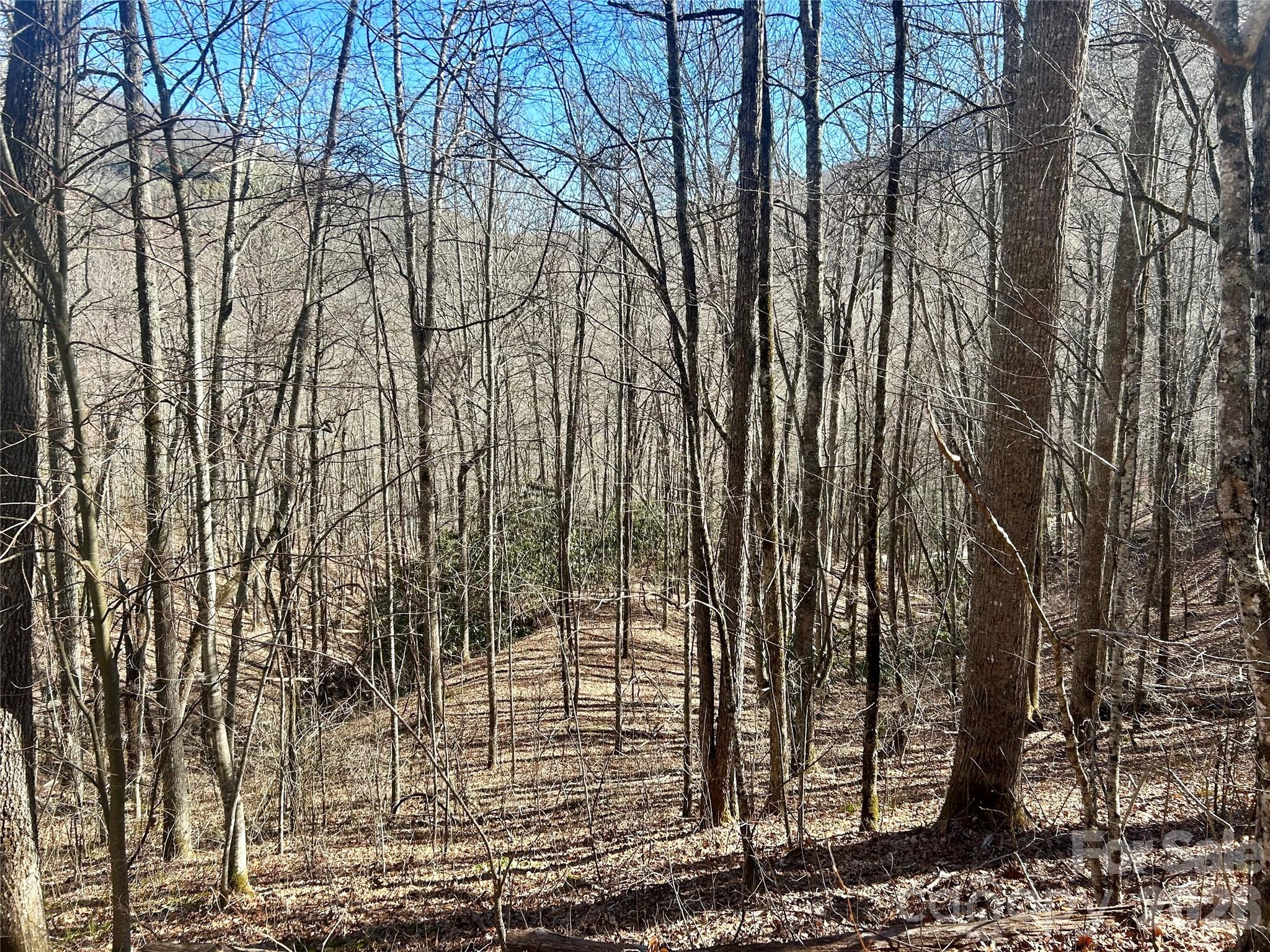 Coppermine Ridge - Land