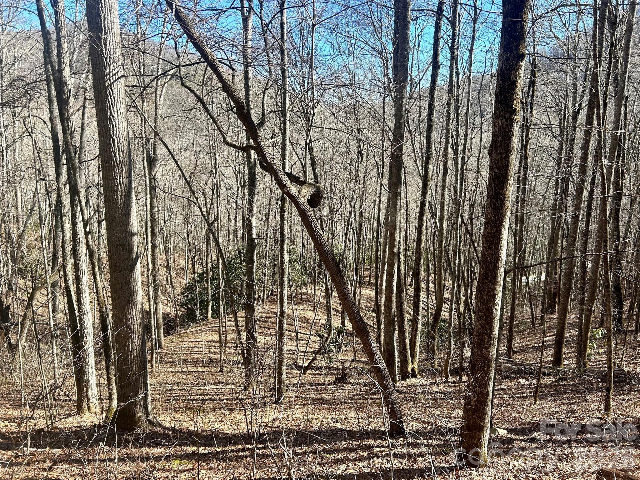 Coppermine Ridge - Land