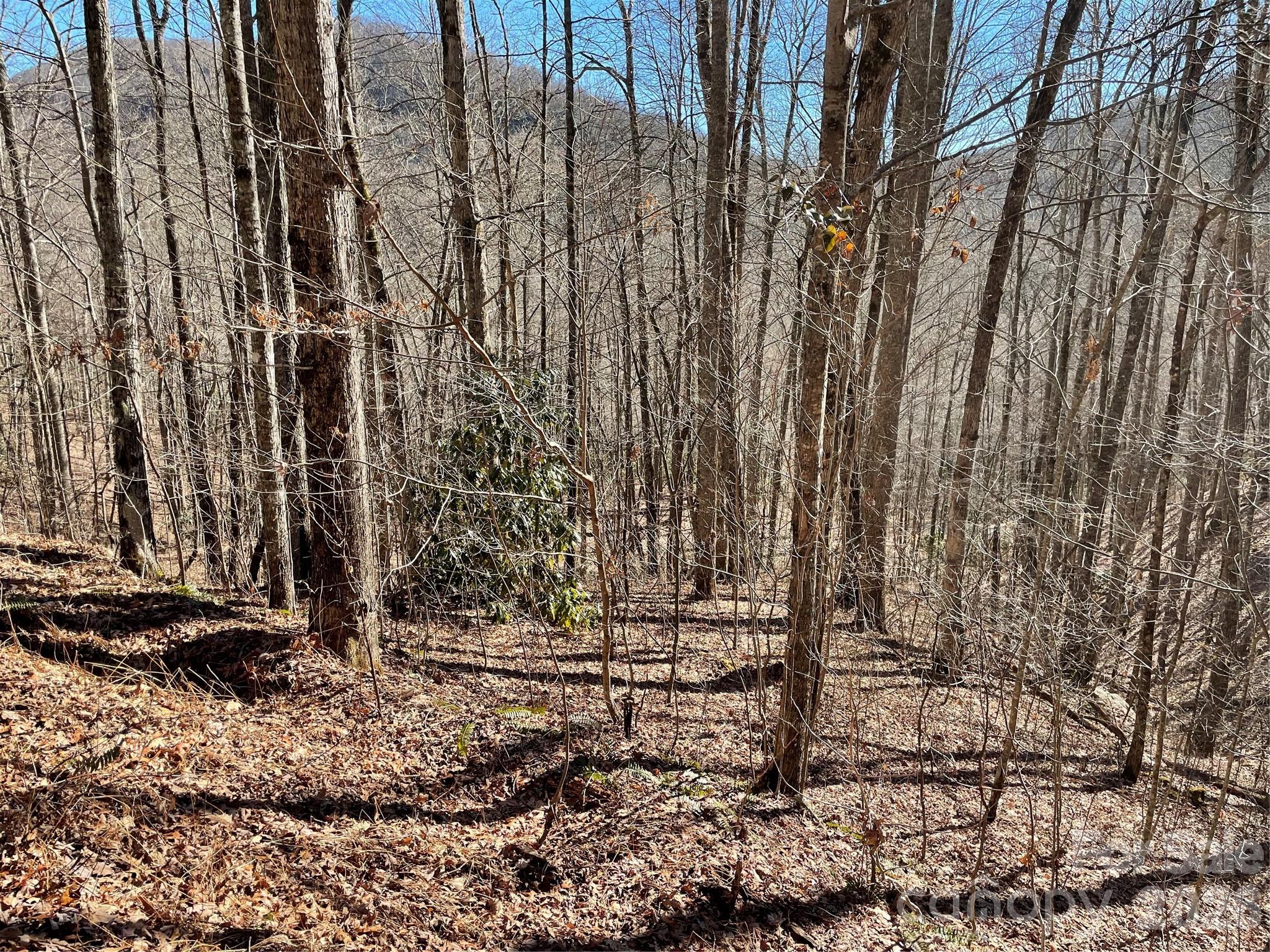 Coppermine Ridge - Land