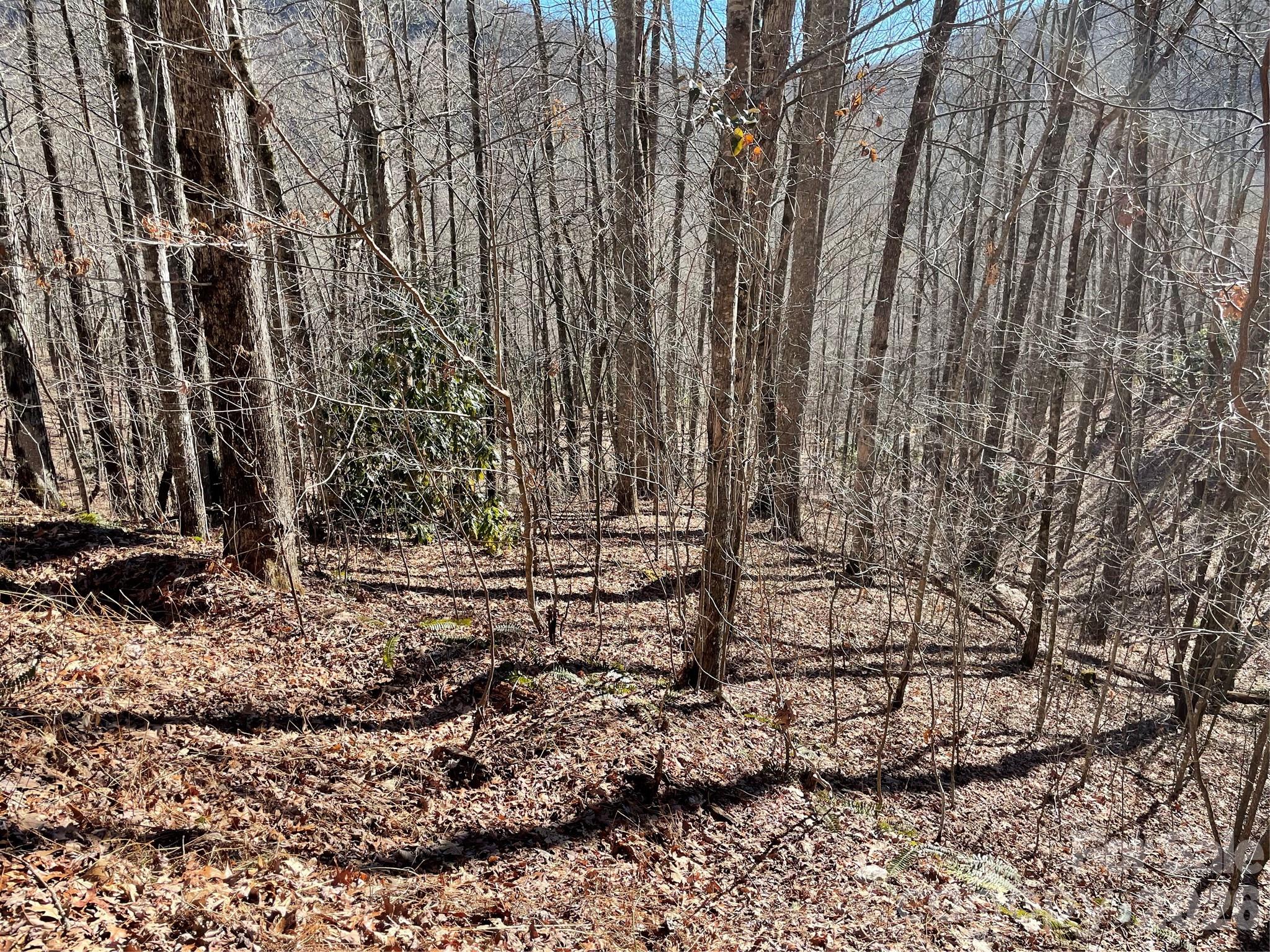 Coppermine Ridge - Land