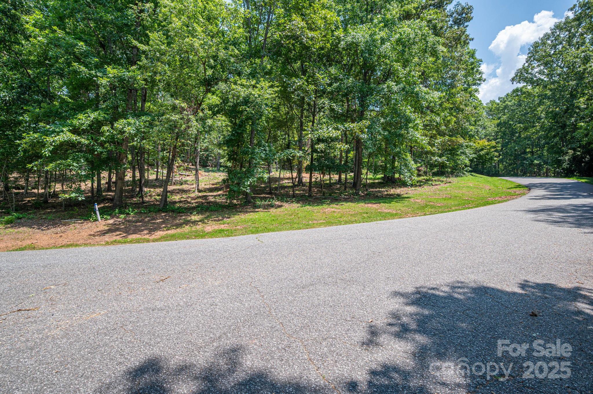 Moss Drive at Cleghorn - Land