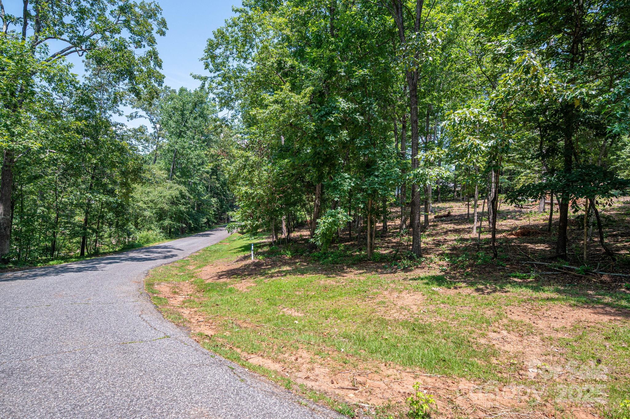Moss Drive at Cleghorn - Land