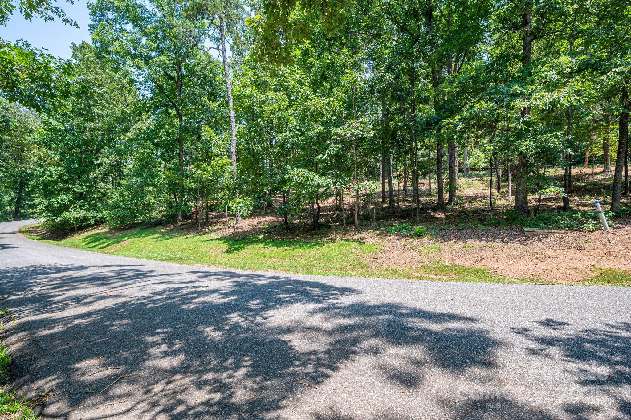 Moss Drive at Cleghorn - Land