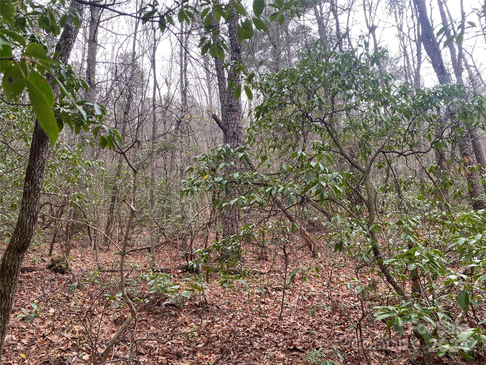 Fox Ridge - Land