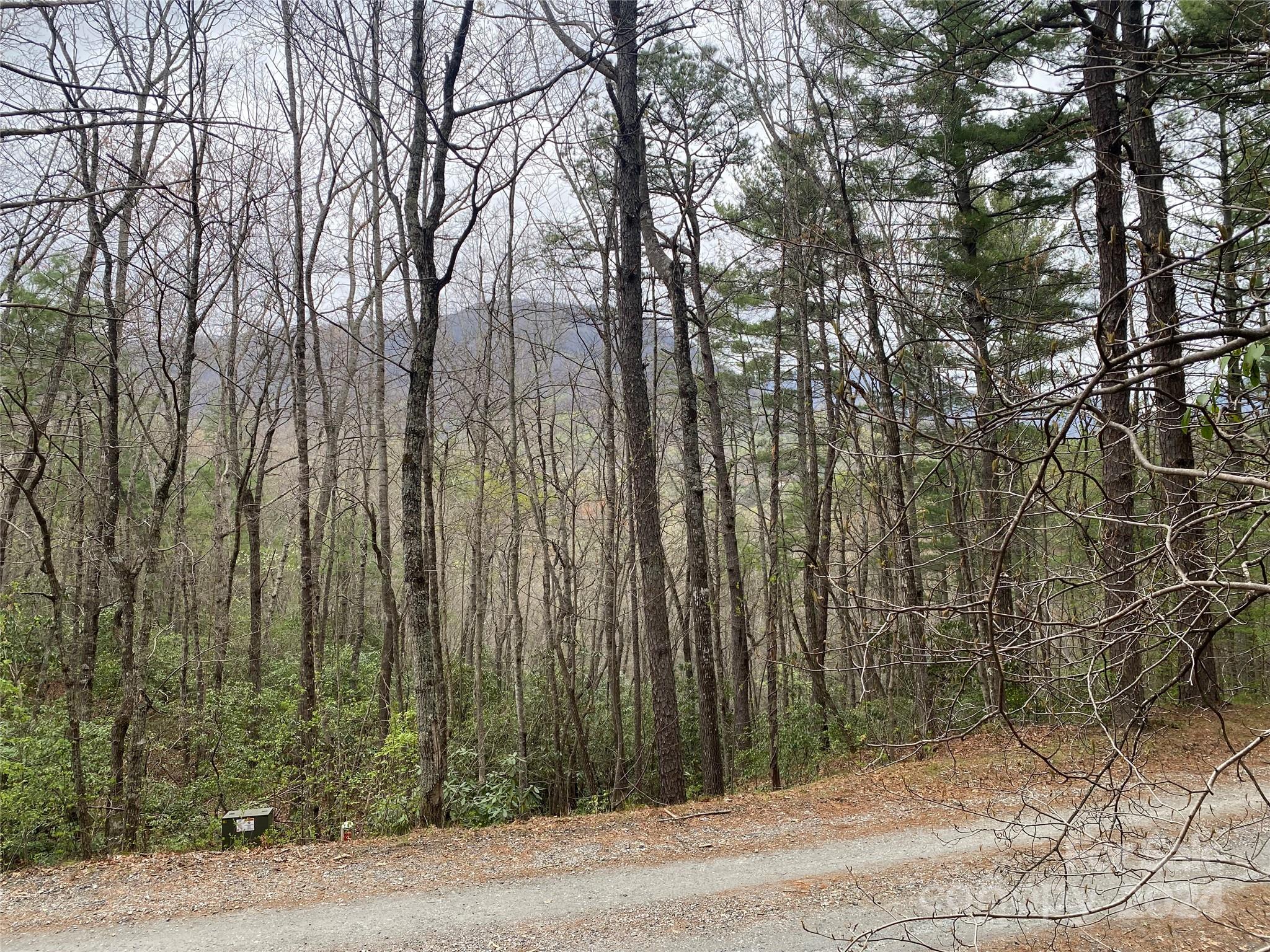 Fox Ridge - Land