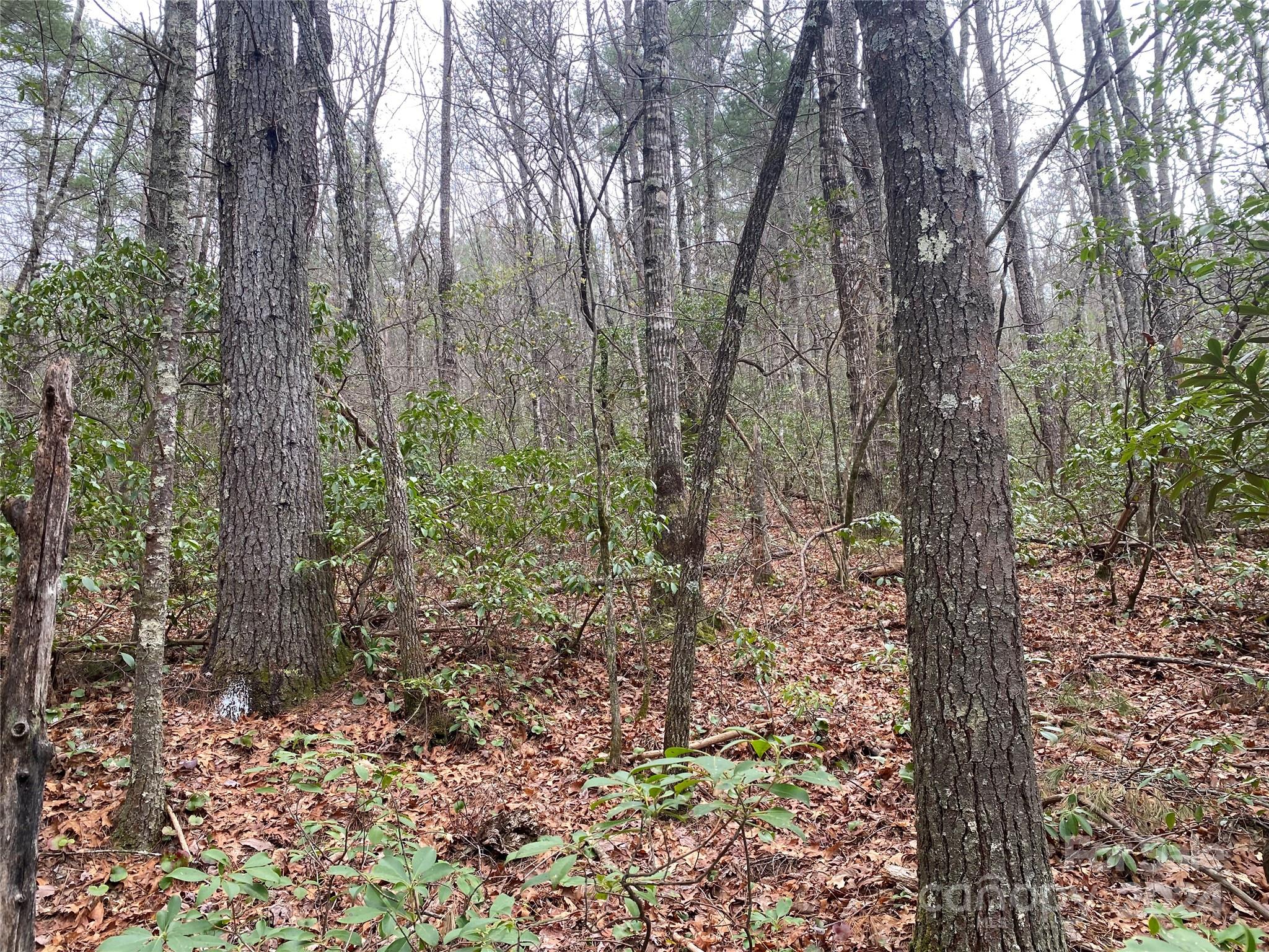 Fox Ridge - Land