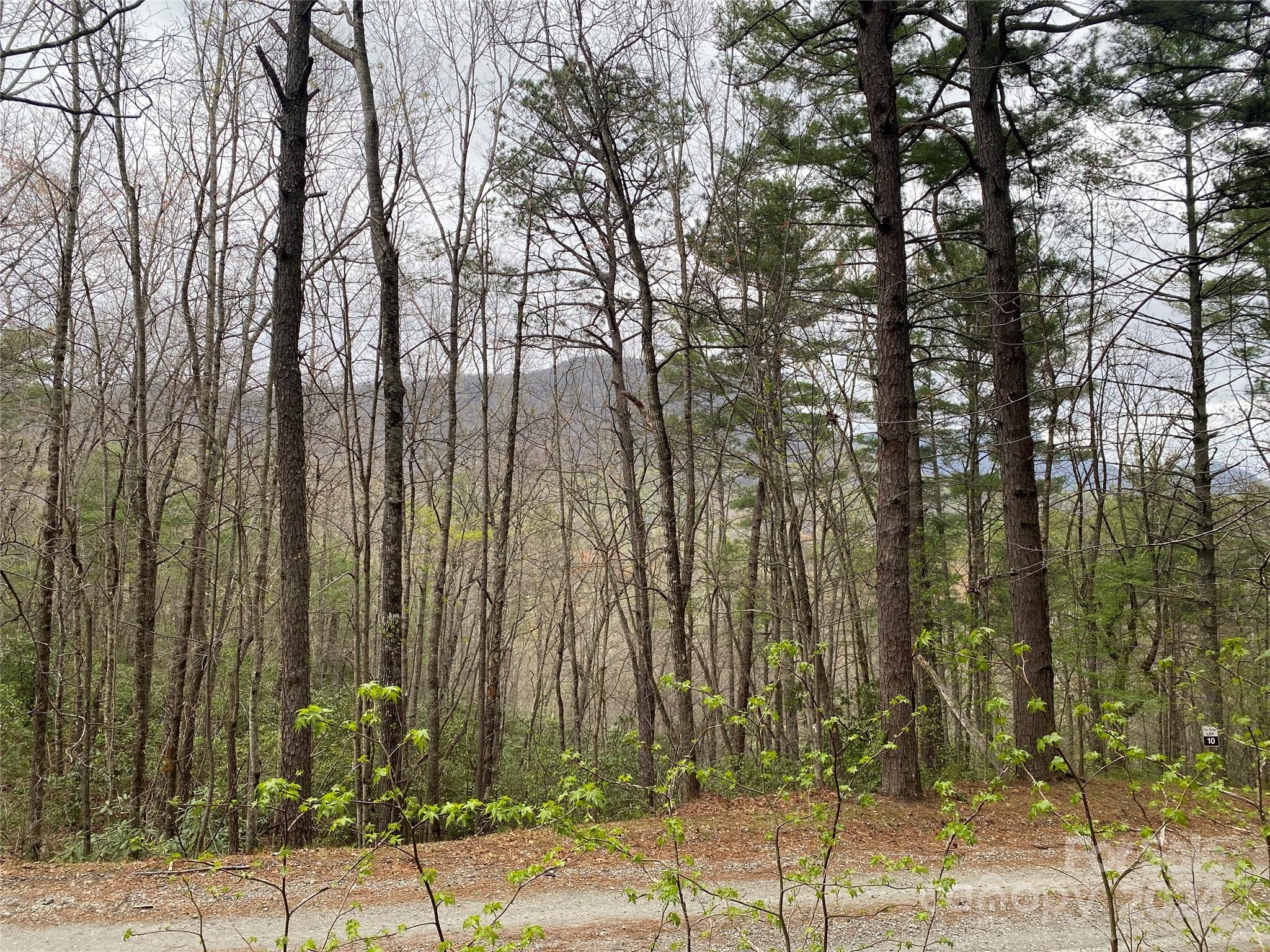 Fox Ridge - Land