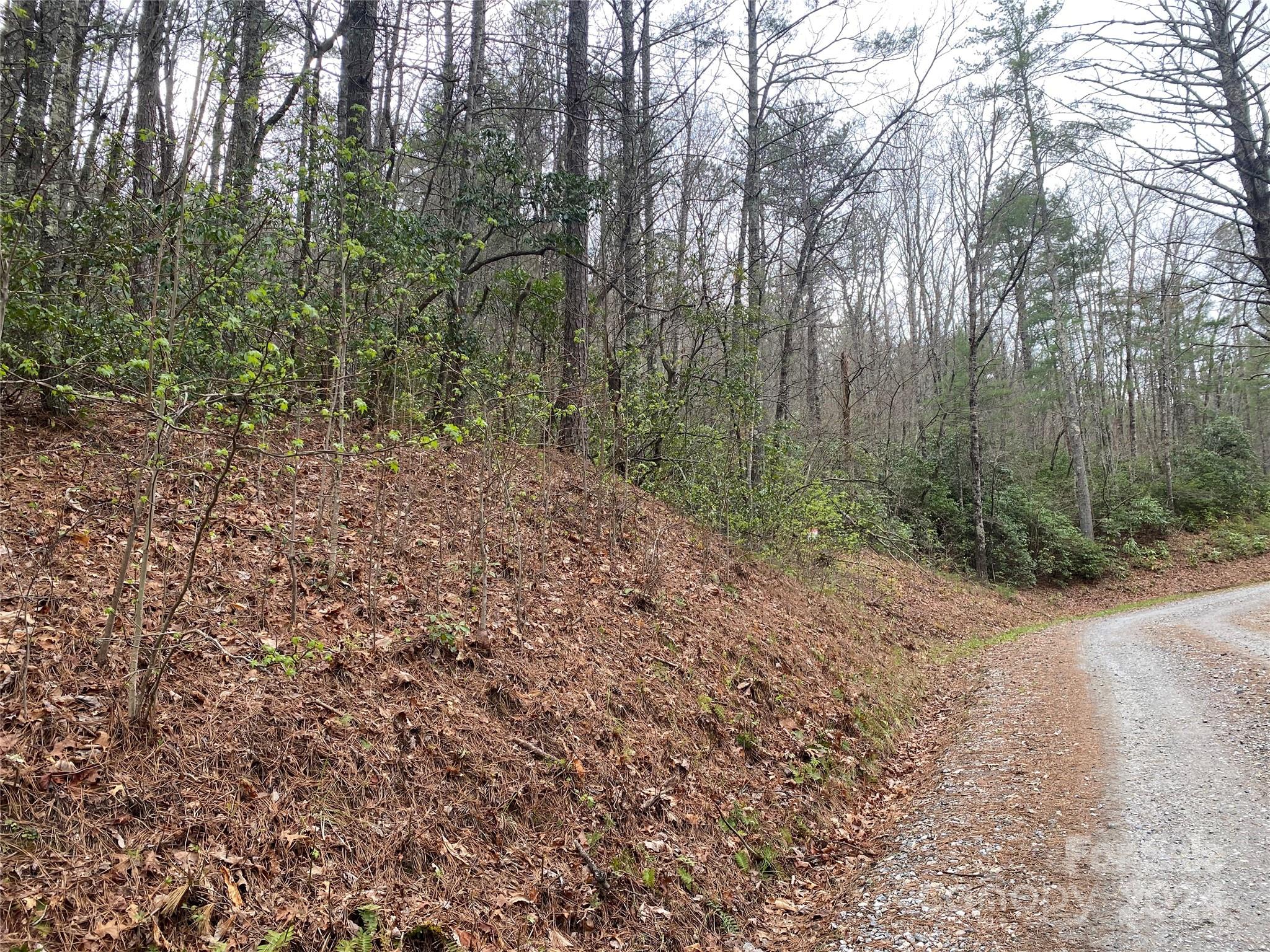 Fox Ridge - Land
