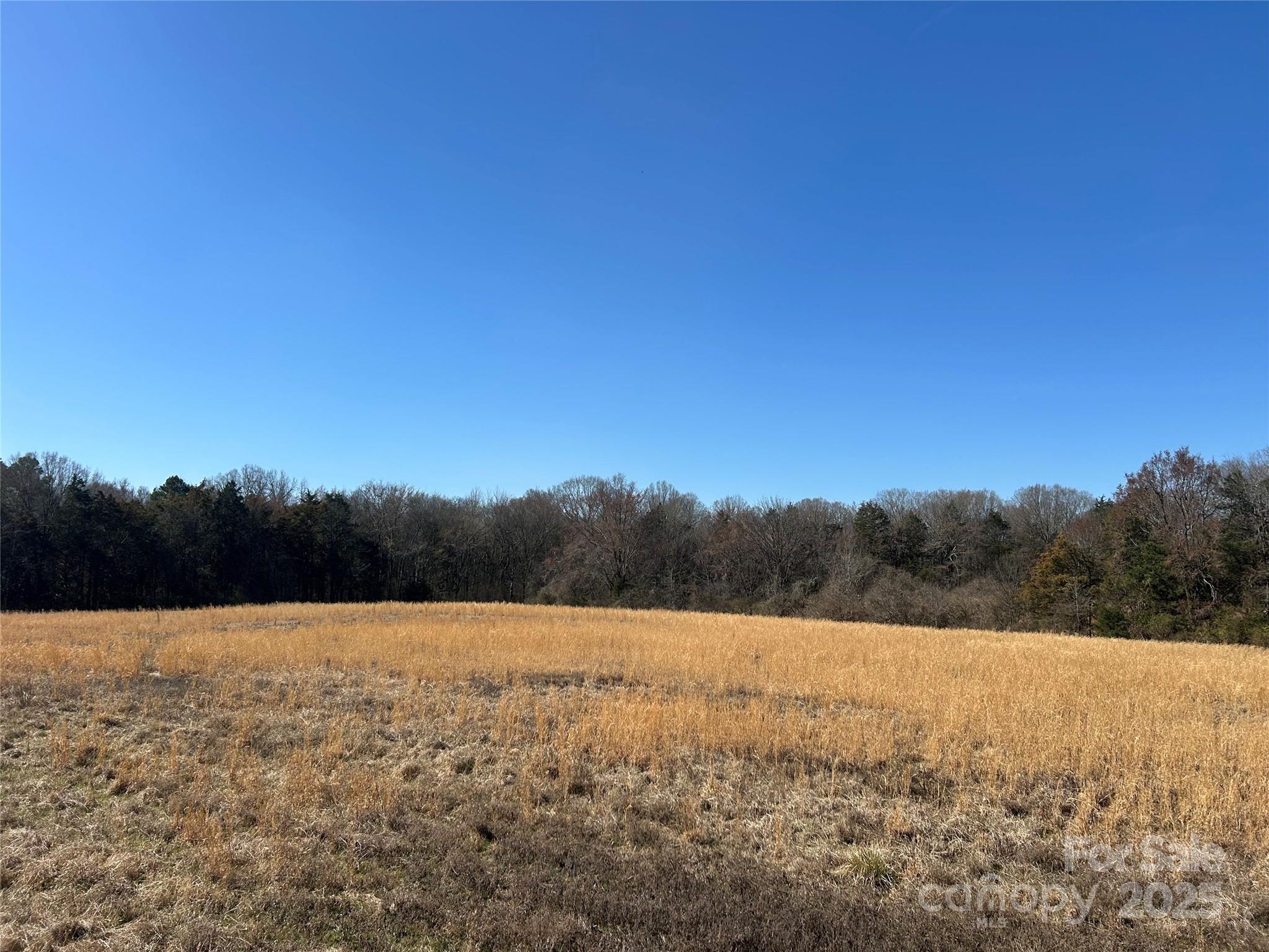 Productive farmland on the edge of Rock Hill SC. 26 Acres of level cropland well maintained and leased for the 2025
growing season. 36 acres of hardwoods/mixed pine surround the edges for added privacy and wildlife habitat. 3000 Ft Paved frontage at the corner of Falls Rd and Bridgewater Rd. A nice hill is on the south end of this land for an ideal private homesite.  Nice homes and horse farms are in the immediate area. The fields are ready for your fencing, barn and nice home. Zoning is AGC, minimum 5 acre lots, and perfect for a family compound.