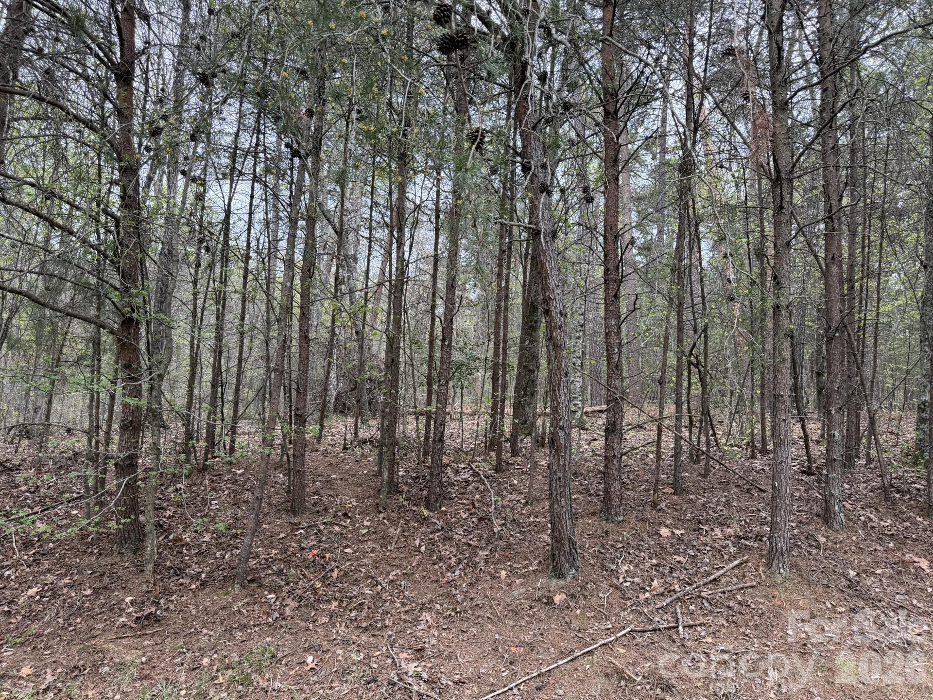 Build your dream home or vacation home on this beautiful large lot in the gated Heron Bay subdivision. This community offers a club house, walking trails, and pickleball courts. Membership to the Old North State Golf Club is available. Located close to the Uwharrie National Forest, which is a great area for camping, hiking, horseback riding, and ATV trails.