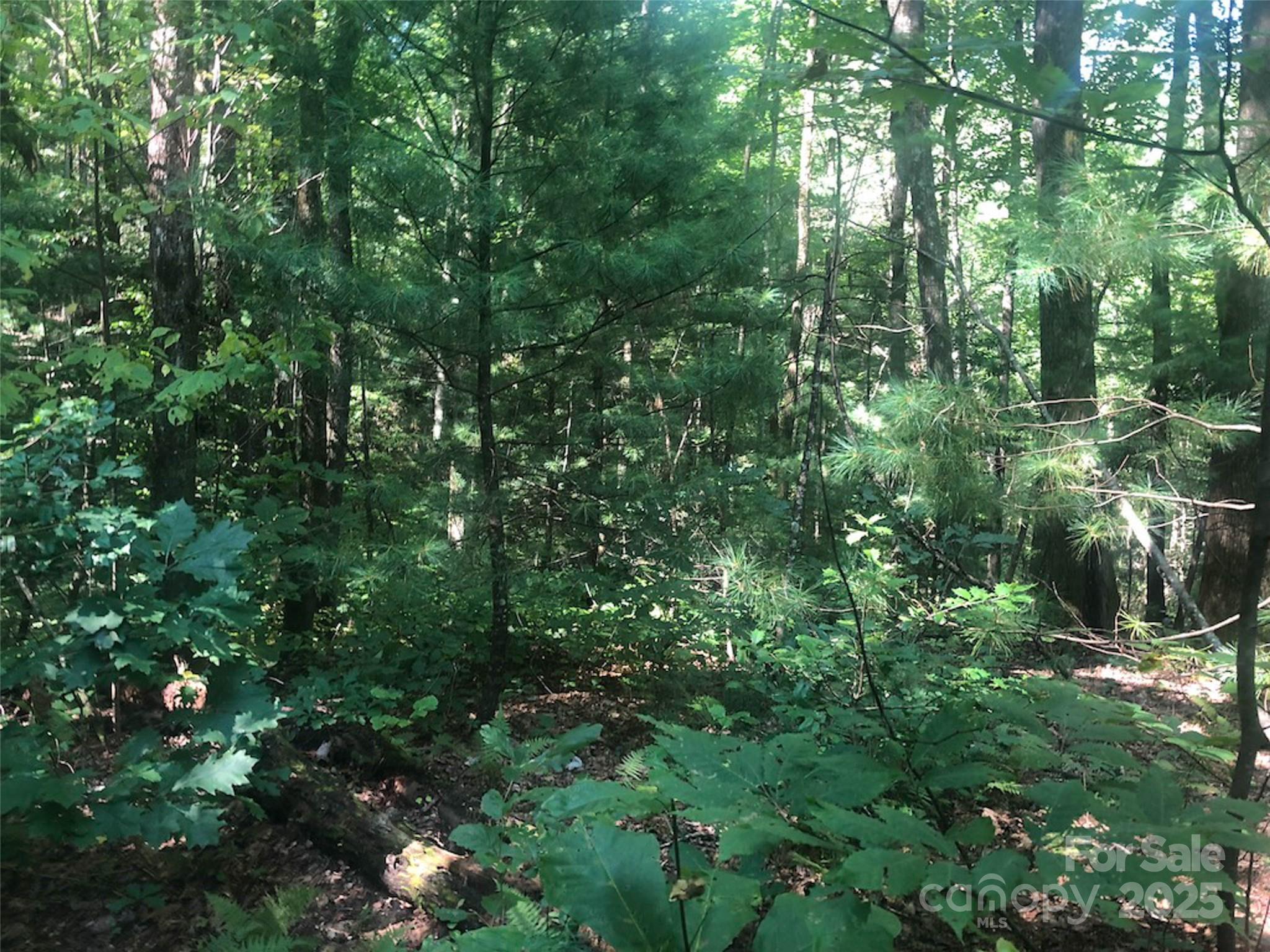 Round Mountain Falls - Land