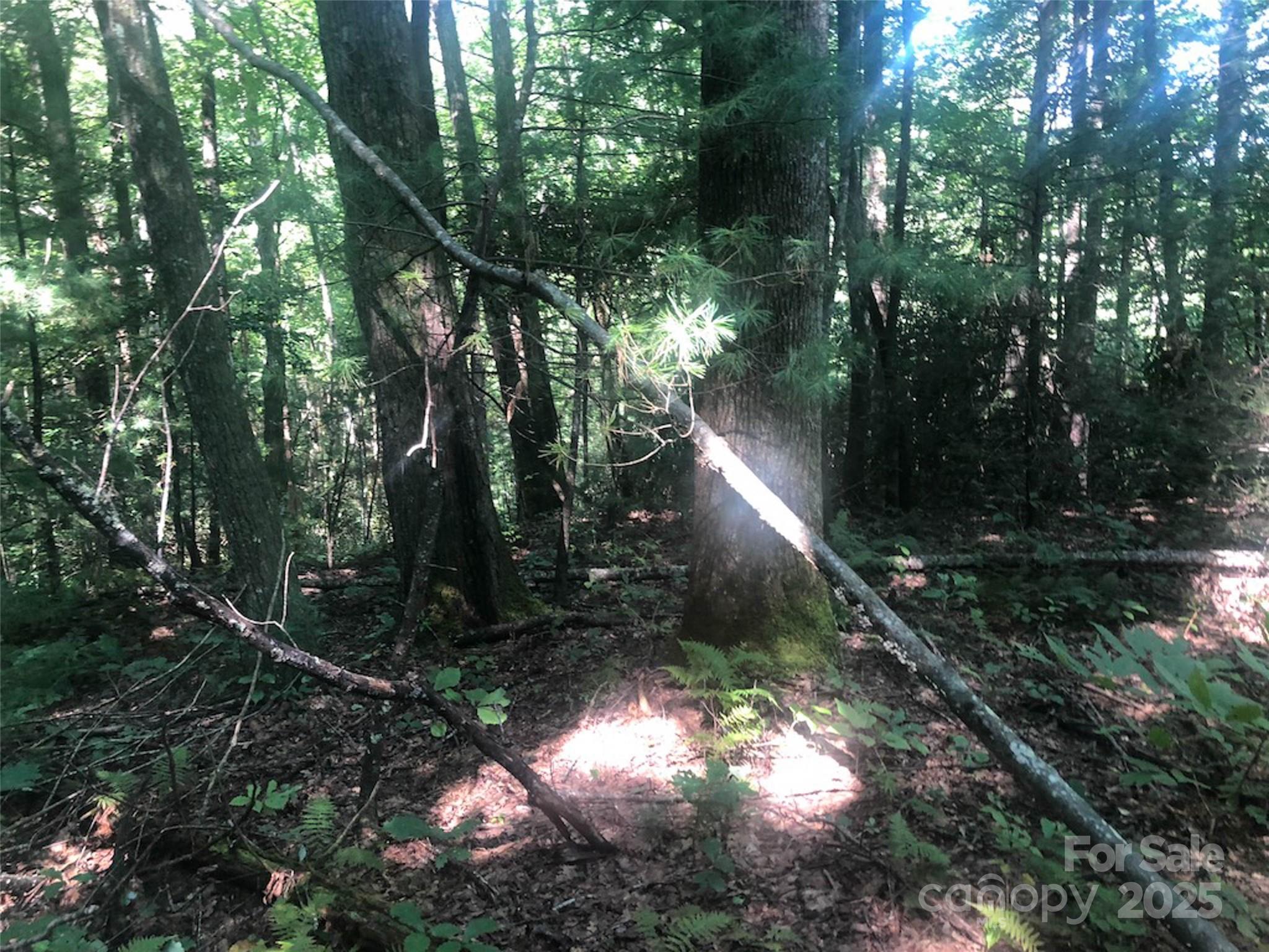 Round Mountain Falls - Land