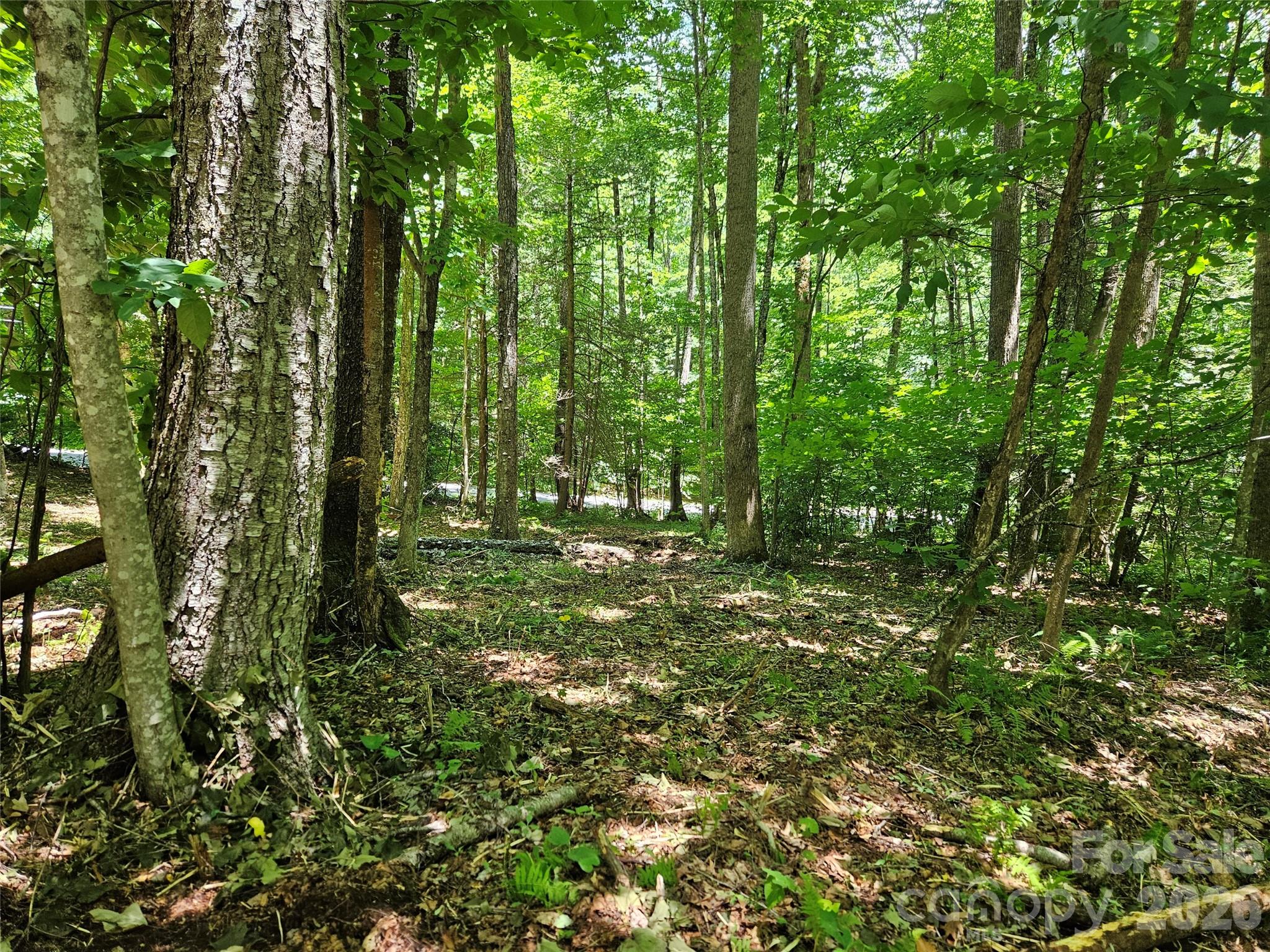 Villages of Plott Creek - Land