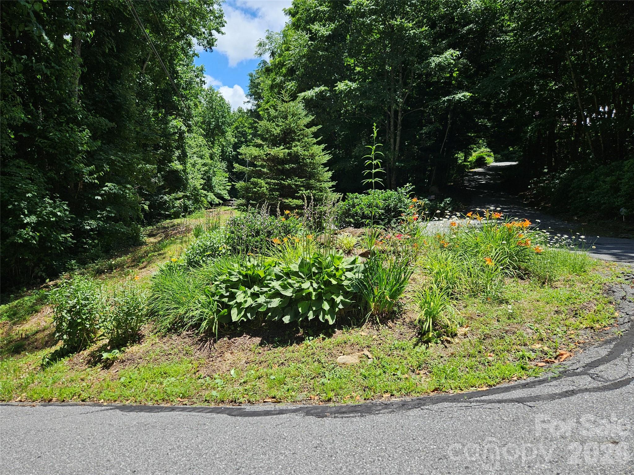 Villages of Plott Creek - Land