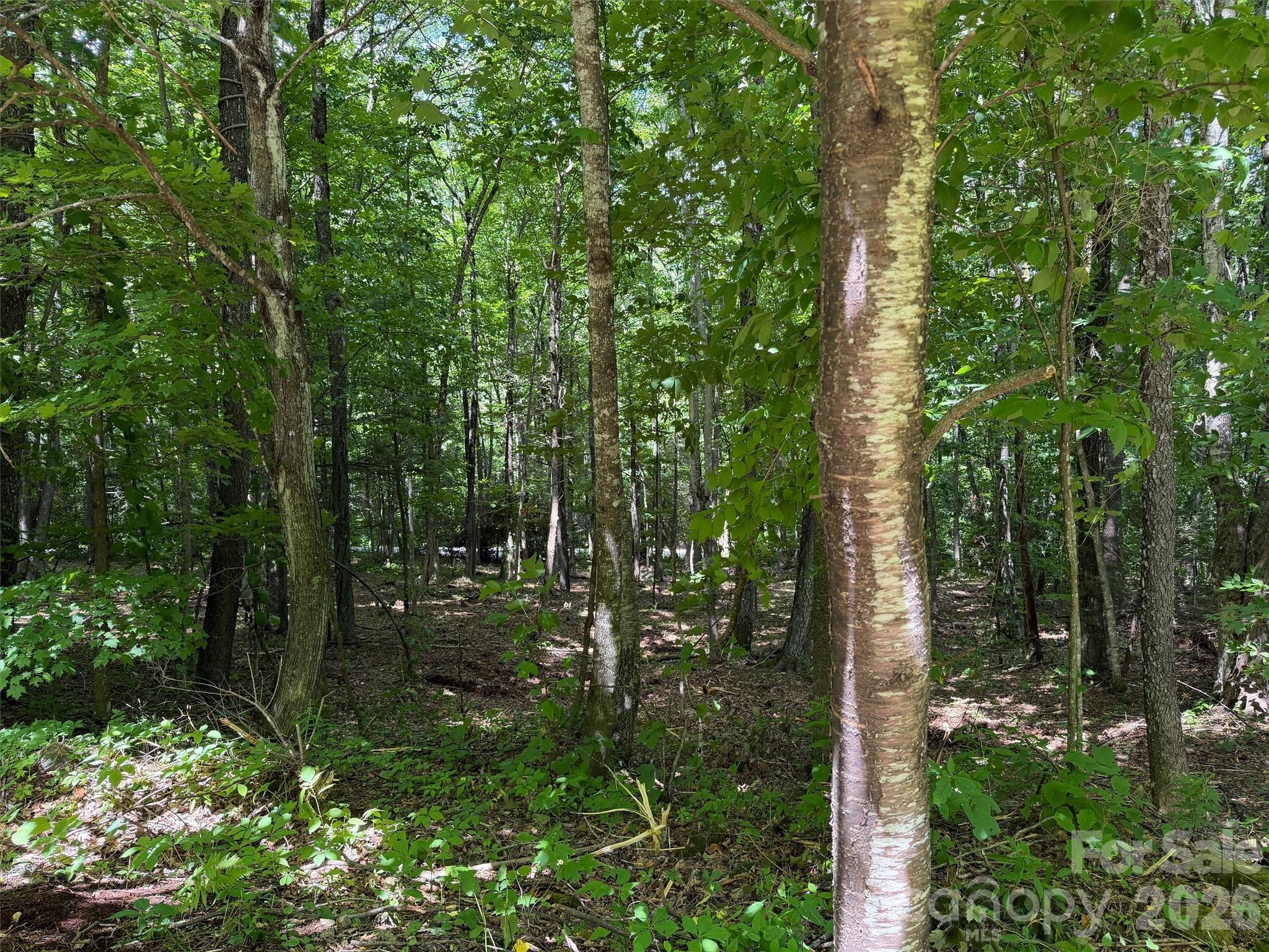 Villages of Plott Creek - Land
