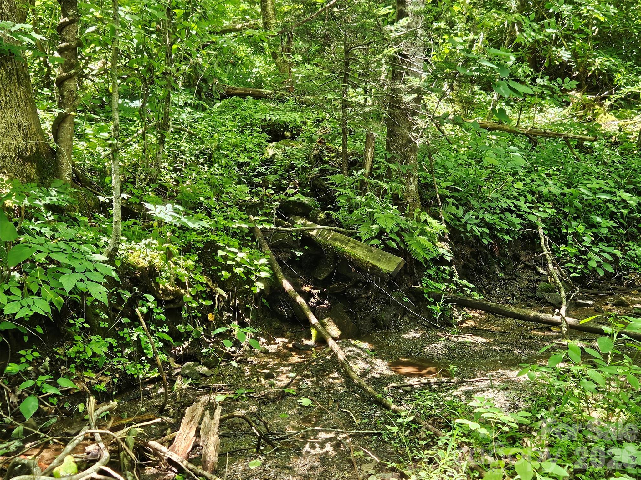 Villages of Plott Creek - Land