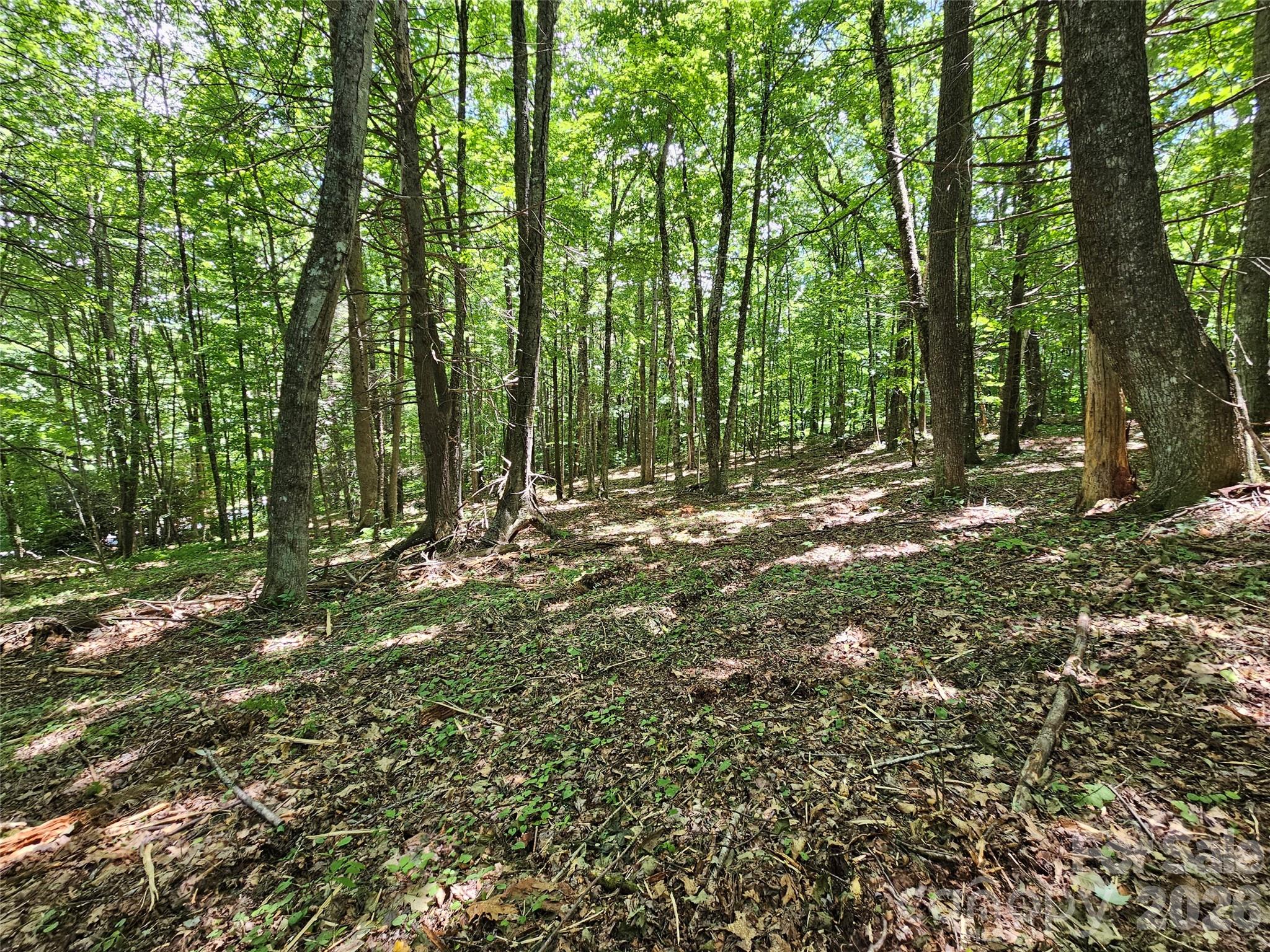 Villages of Plott Creek - Land