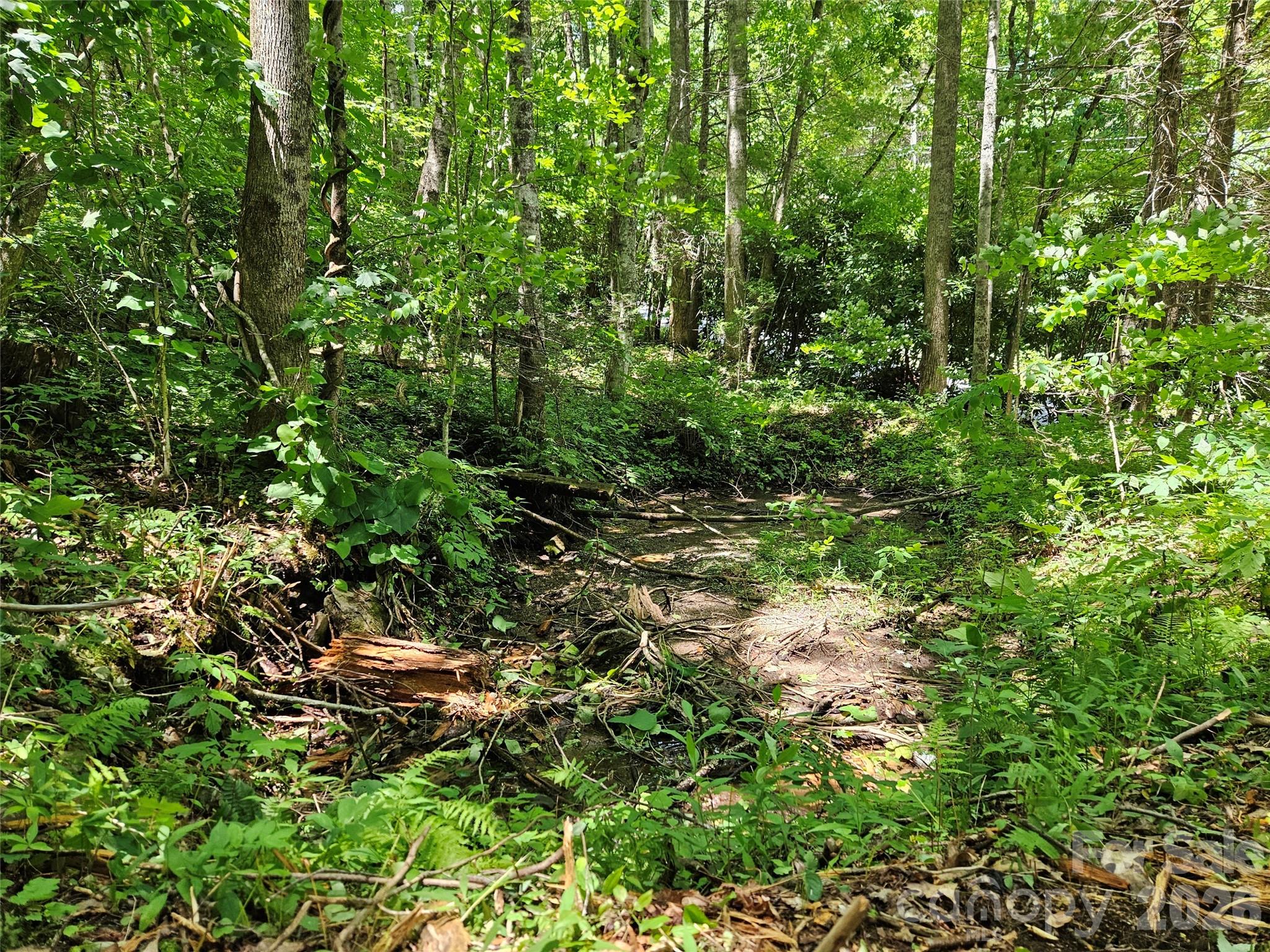 Villages of Plott Creek - Land