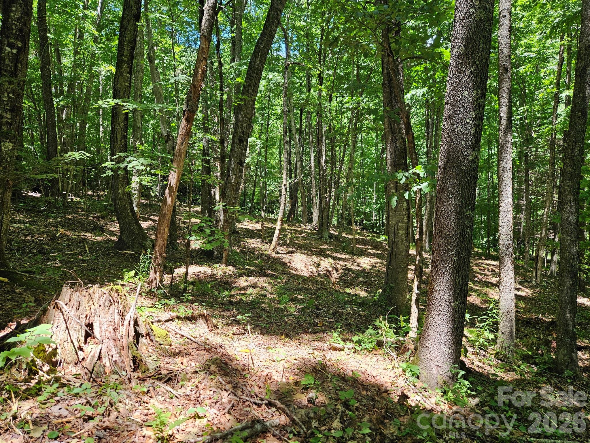 Villages of Plott Creek - Land