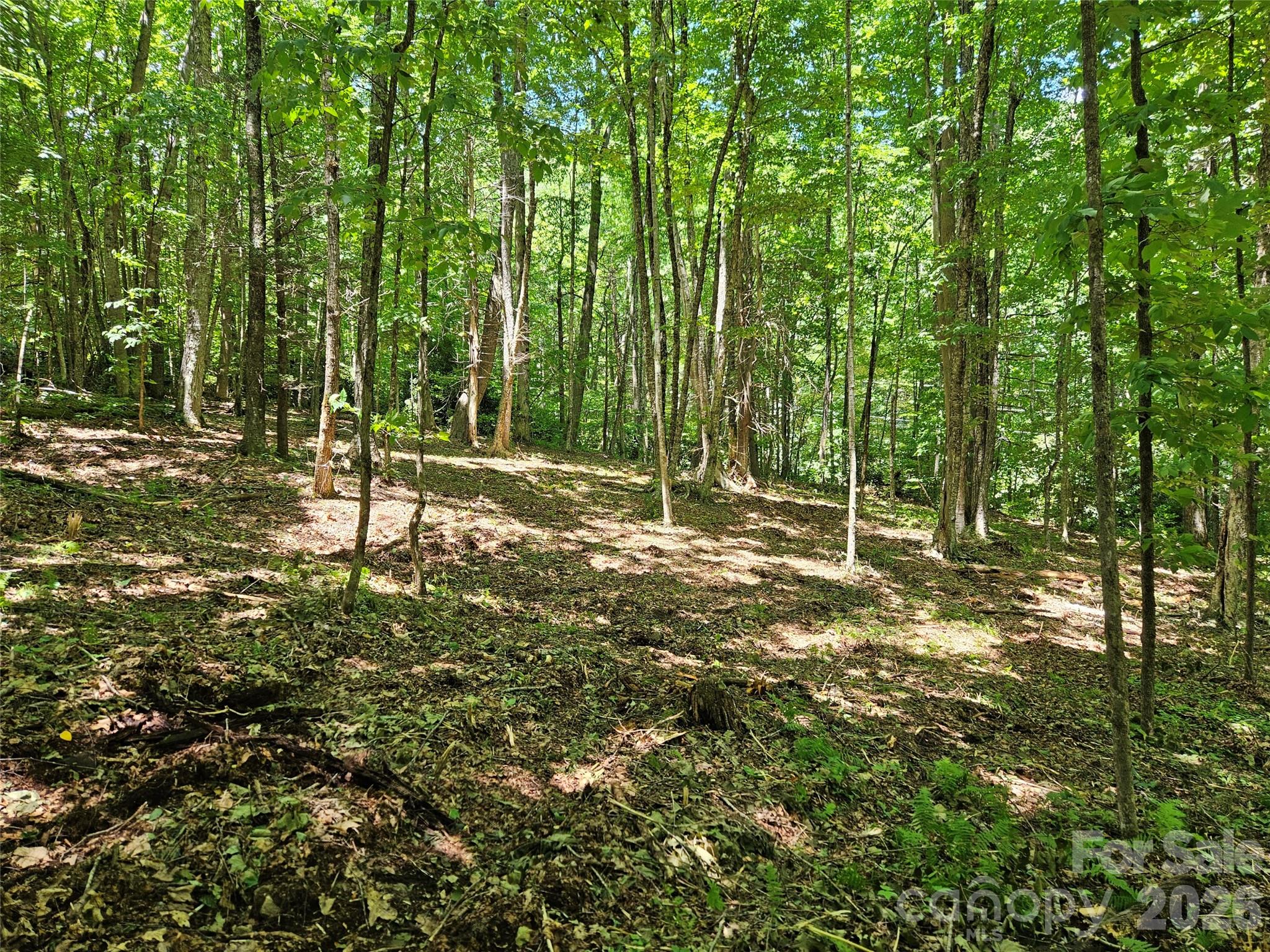 Villages of Plott Creek - Land