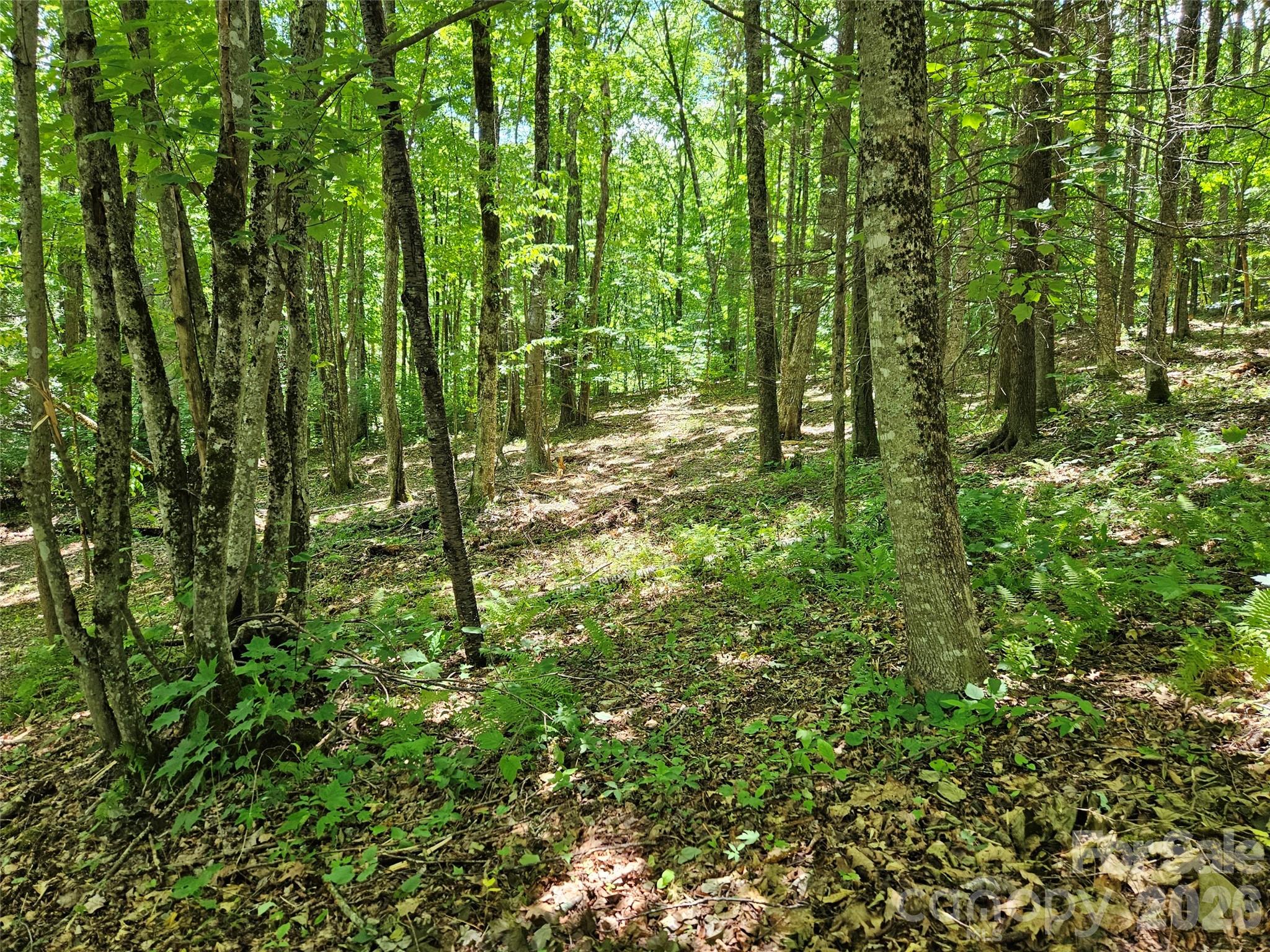 Villages of Plott Creek - Land