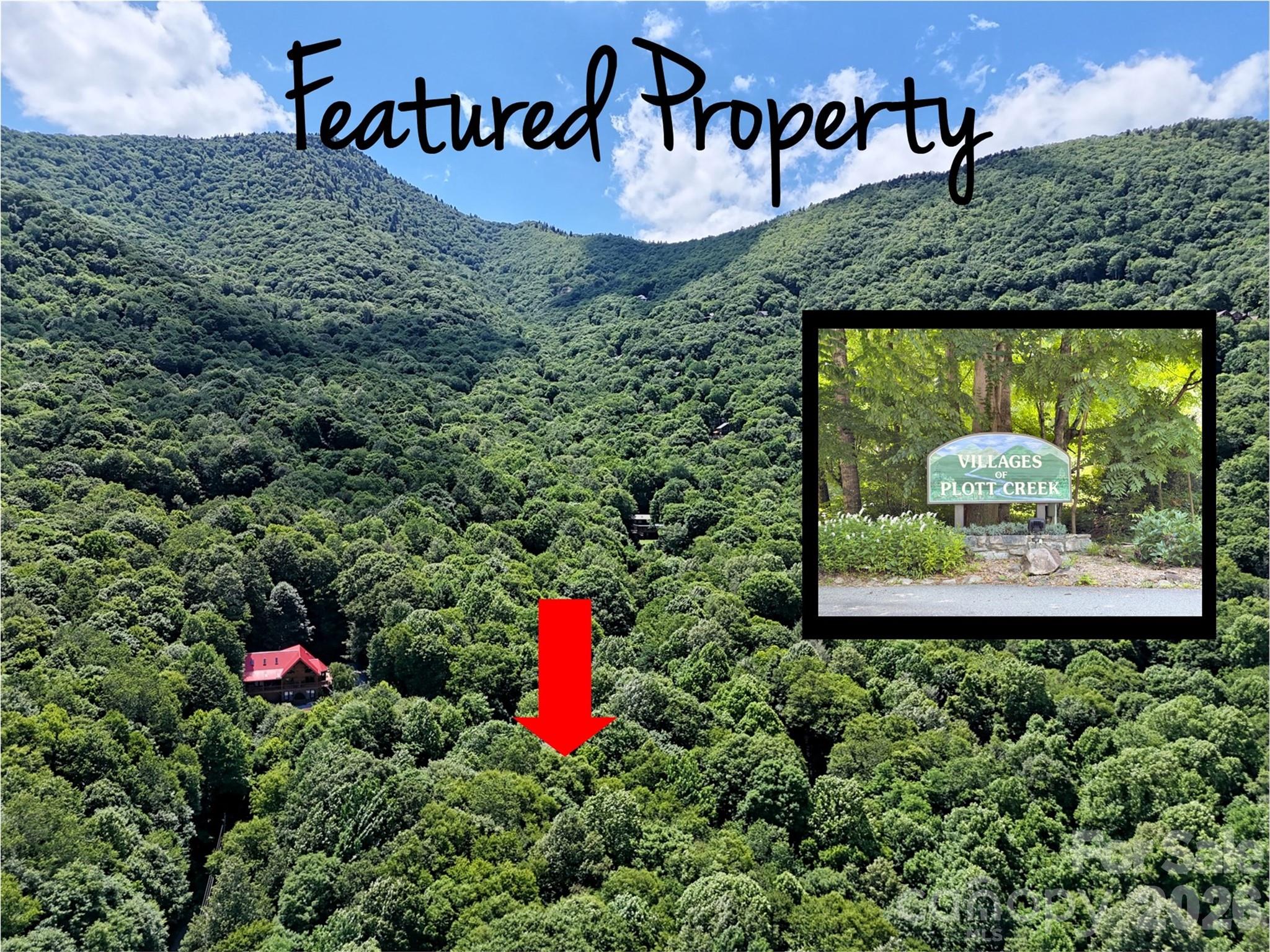 The Villages of Plott Creek is a premier subdivision within the Smoky Mountains with a gated entryway and nice wide paved roads which meander throughout the community. Lot 108 in the Water Glen Village is beautifully wooded with a very gentle slope. Parcel will provide a wonderful canvas for a custom built estate like setting with options to emit or retain privacy. There is a small branch on either side of the lot with an existing drained pond that could provide a beautiful water feature. The current tree canopy and walk-ability of the land have a park like feel. This lot is bordered on two sides with paved roads and could be accessed either way. There will be a minimal amount of excavation on this lot in comparison to the majority of parcels in the current market. The community Pavilion is a great place for gatherings any time of year. Contact list agent with any questions.